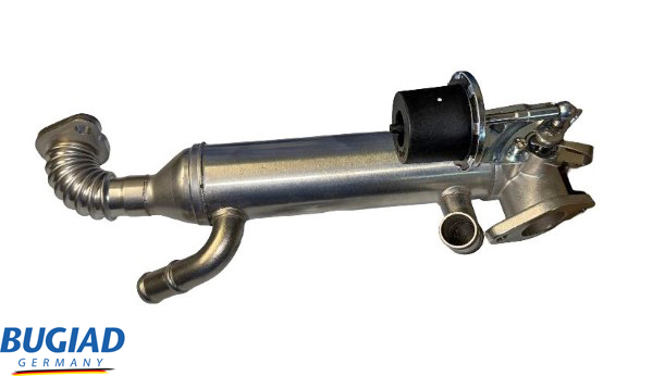 Bugiad EGR-klep BGR13105