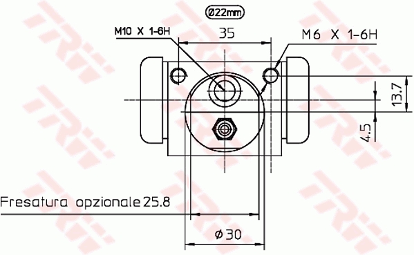 TRW Wielremcilinder BWH397