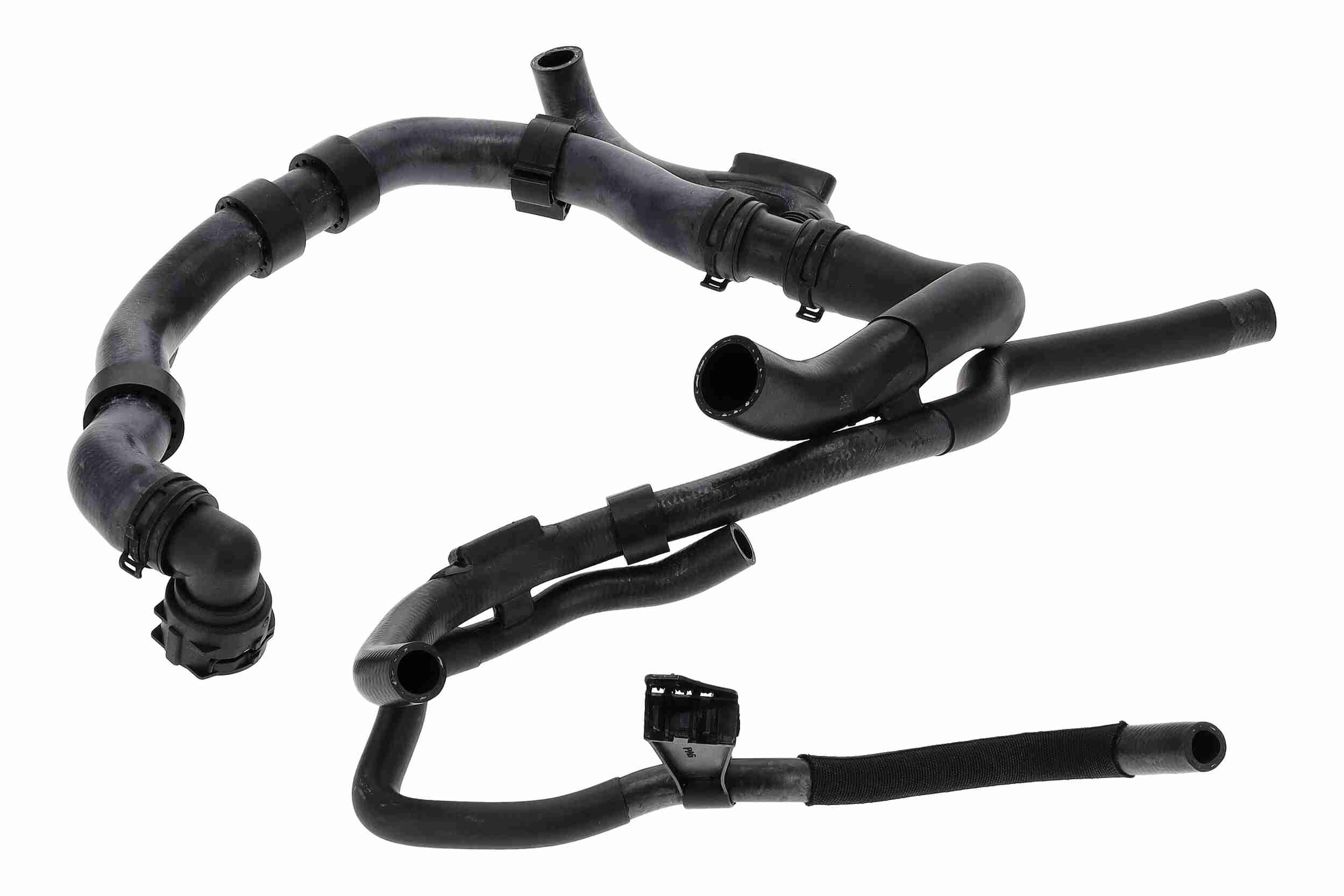 Vaico Radiateurslang V10-000095