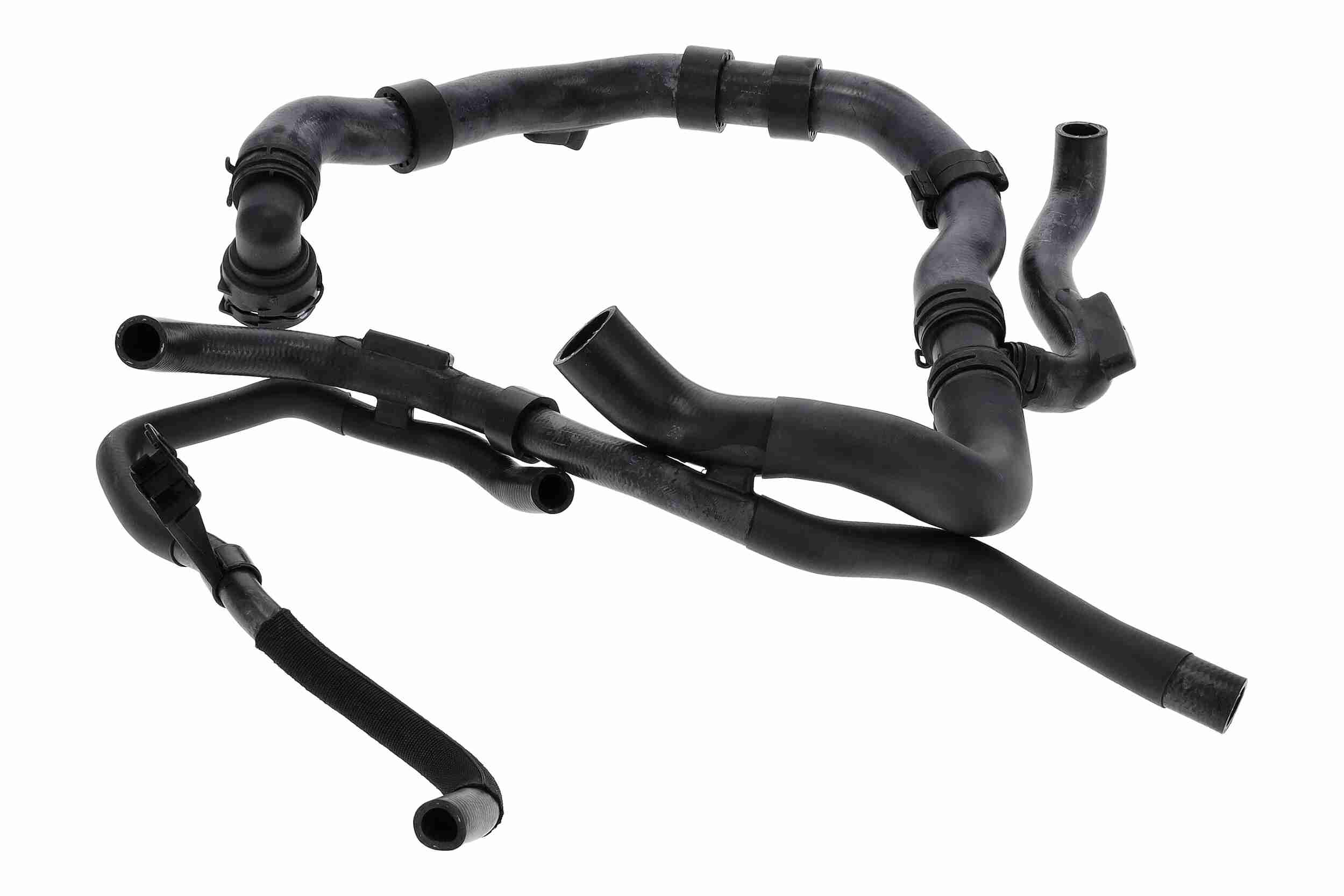 Vaico Radiateurslang V10-000095