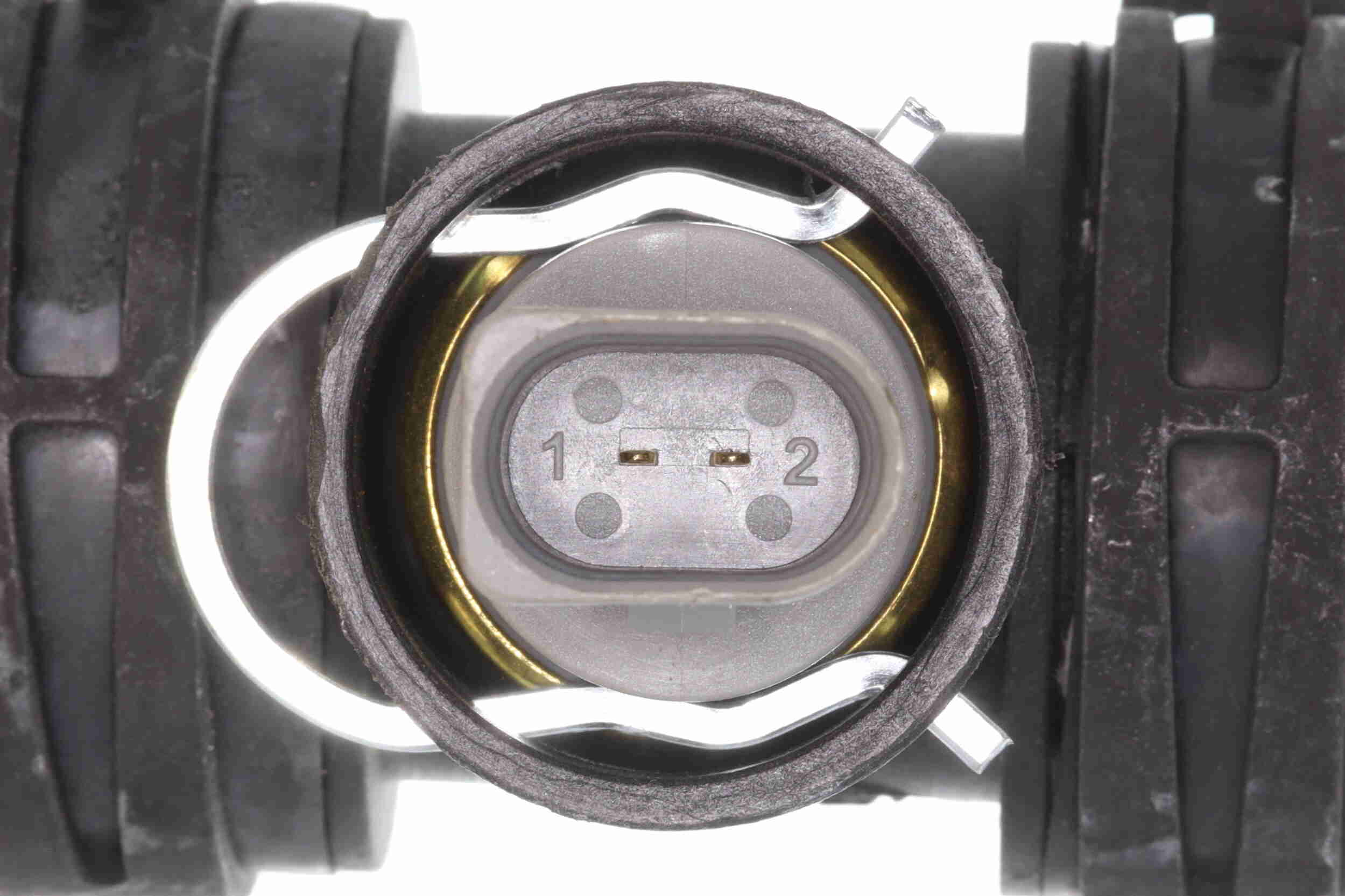 Vaico Radiateurslang V10-000123