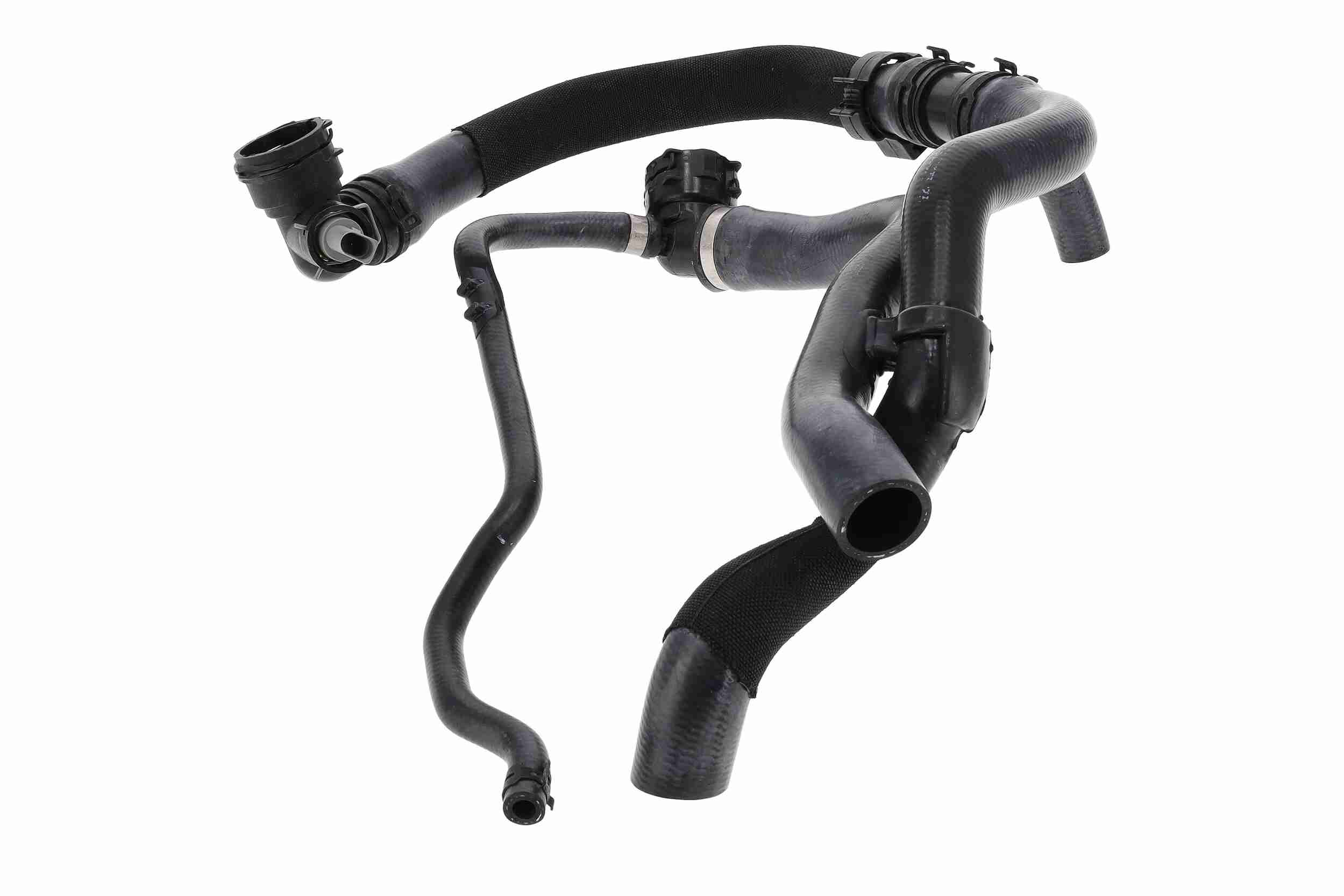 Vaico Radiateurslang V10-000124