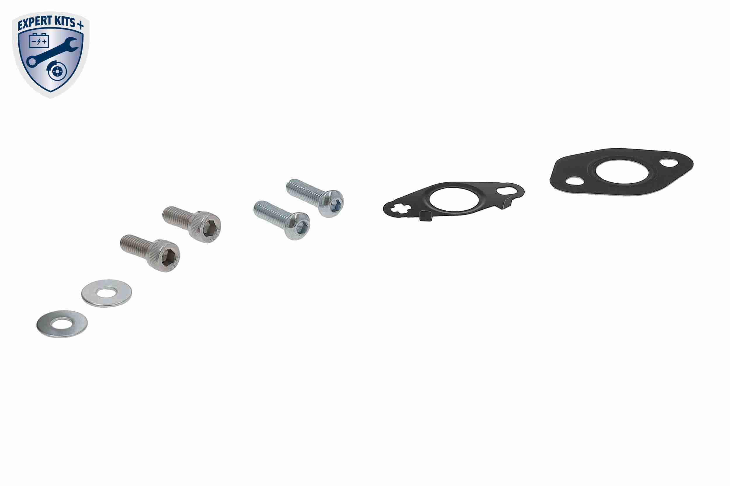 Vaico Olieleiding, turbolader V10-000168