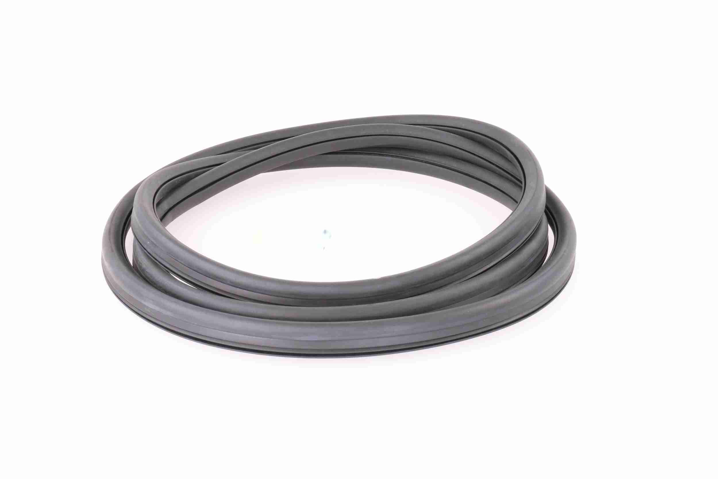 Vaico Afdichting voorruit V10-0086