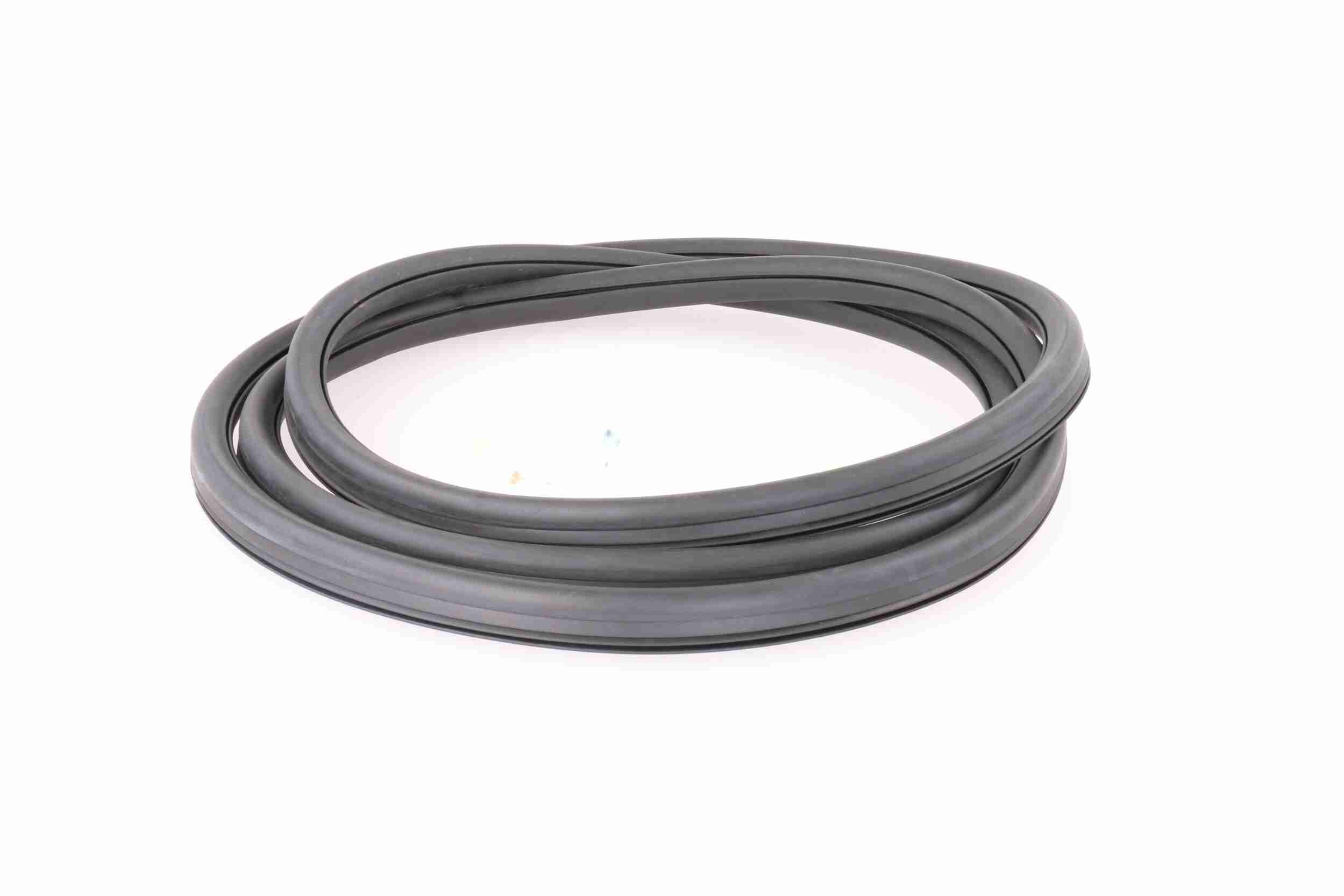 Vaico Afdichting voorruit V10-0086