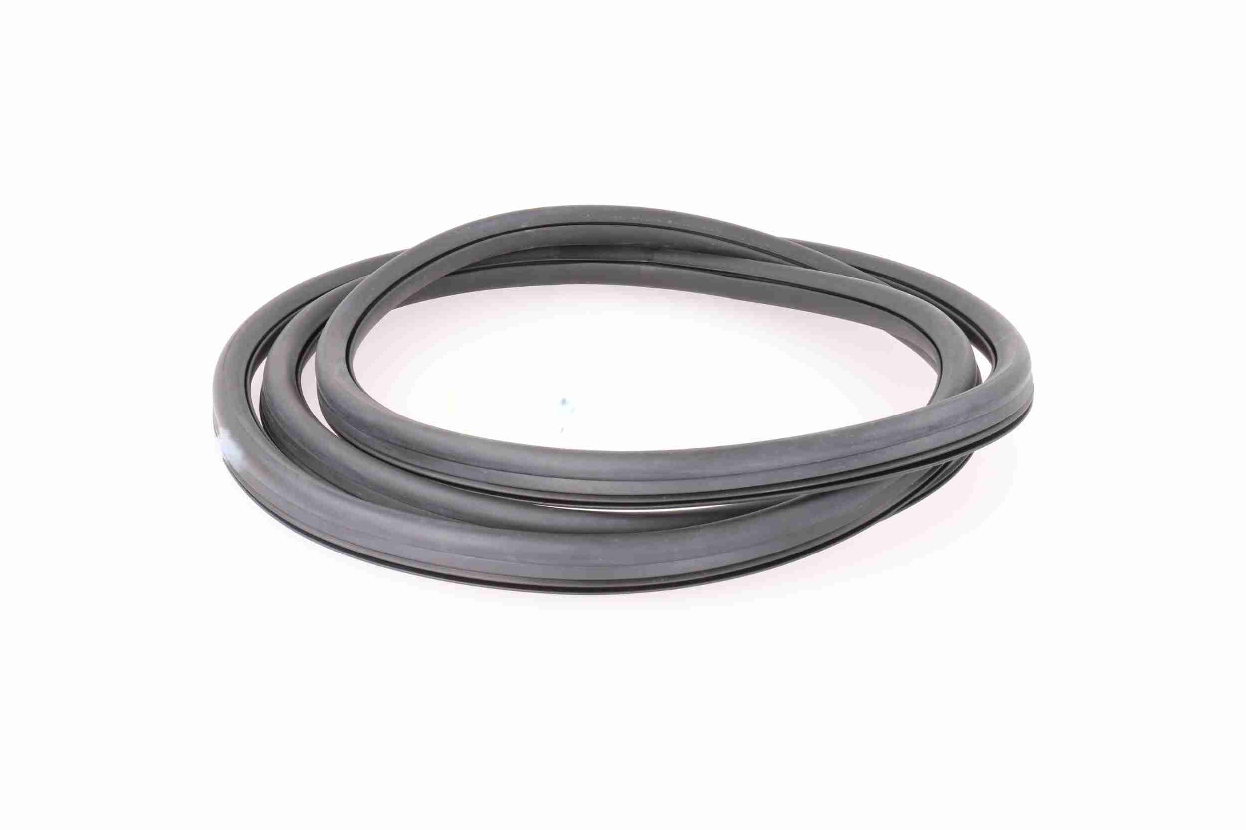 Vaico Afdichting voorruit V10-0086