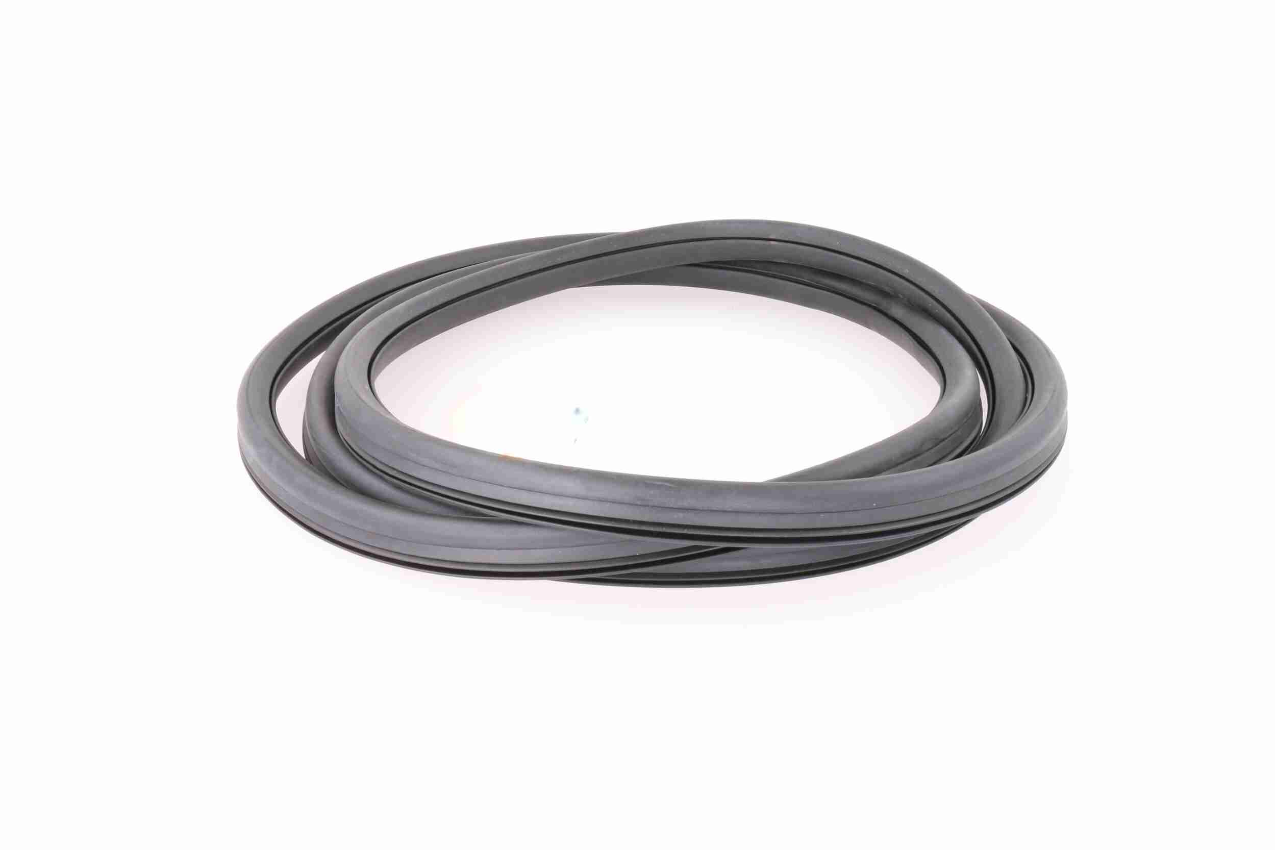 Vaico Afdichting voorruit V10-0086