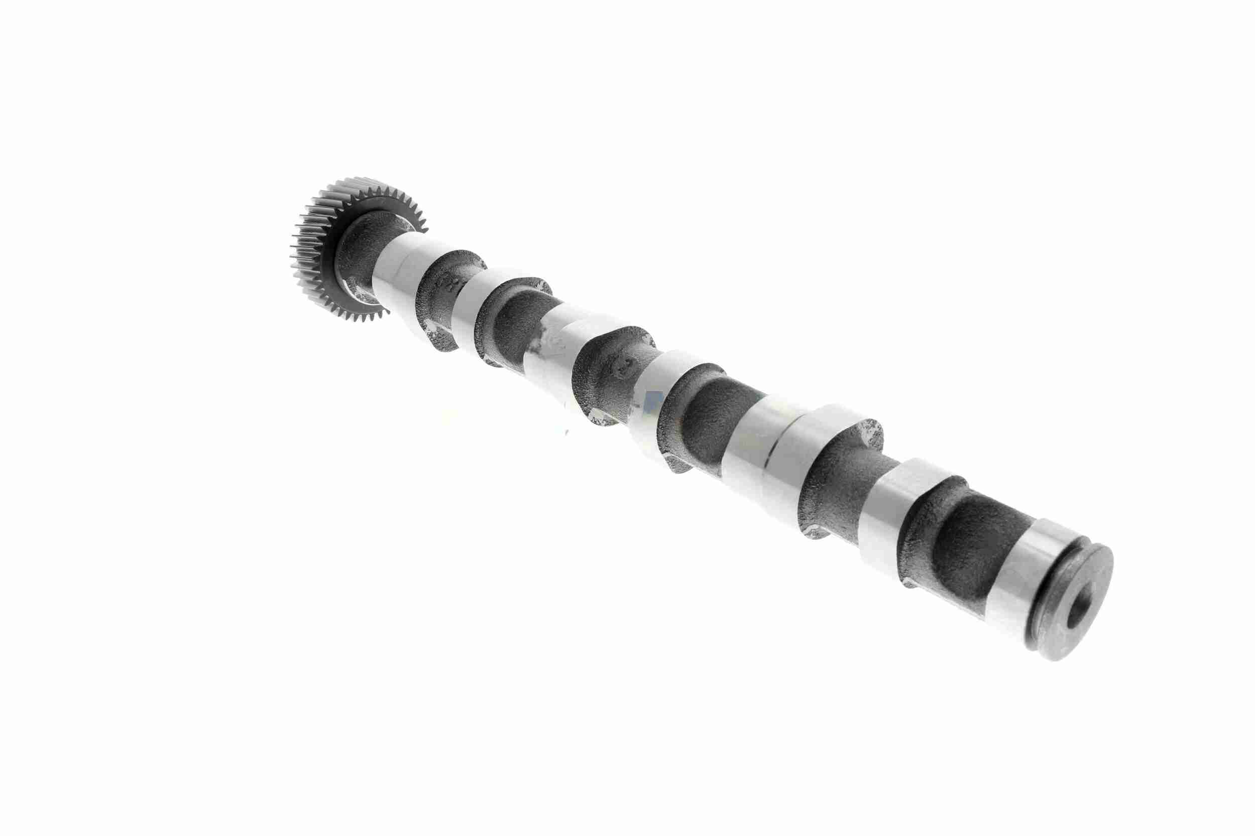 Vaico Nokkenas V10-0869