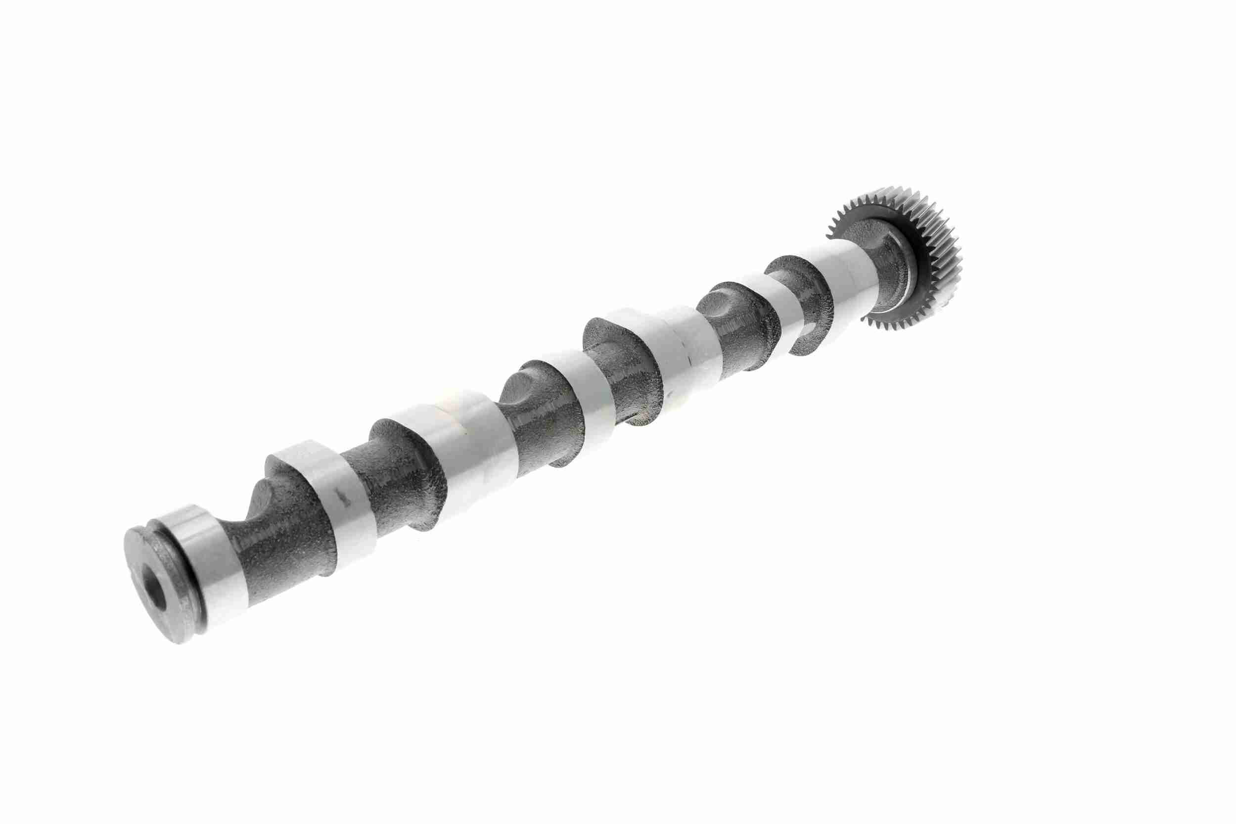 Vaico Nokkenas V10-0869