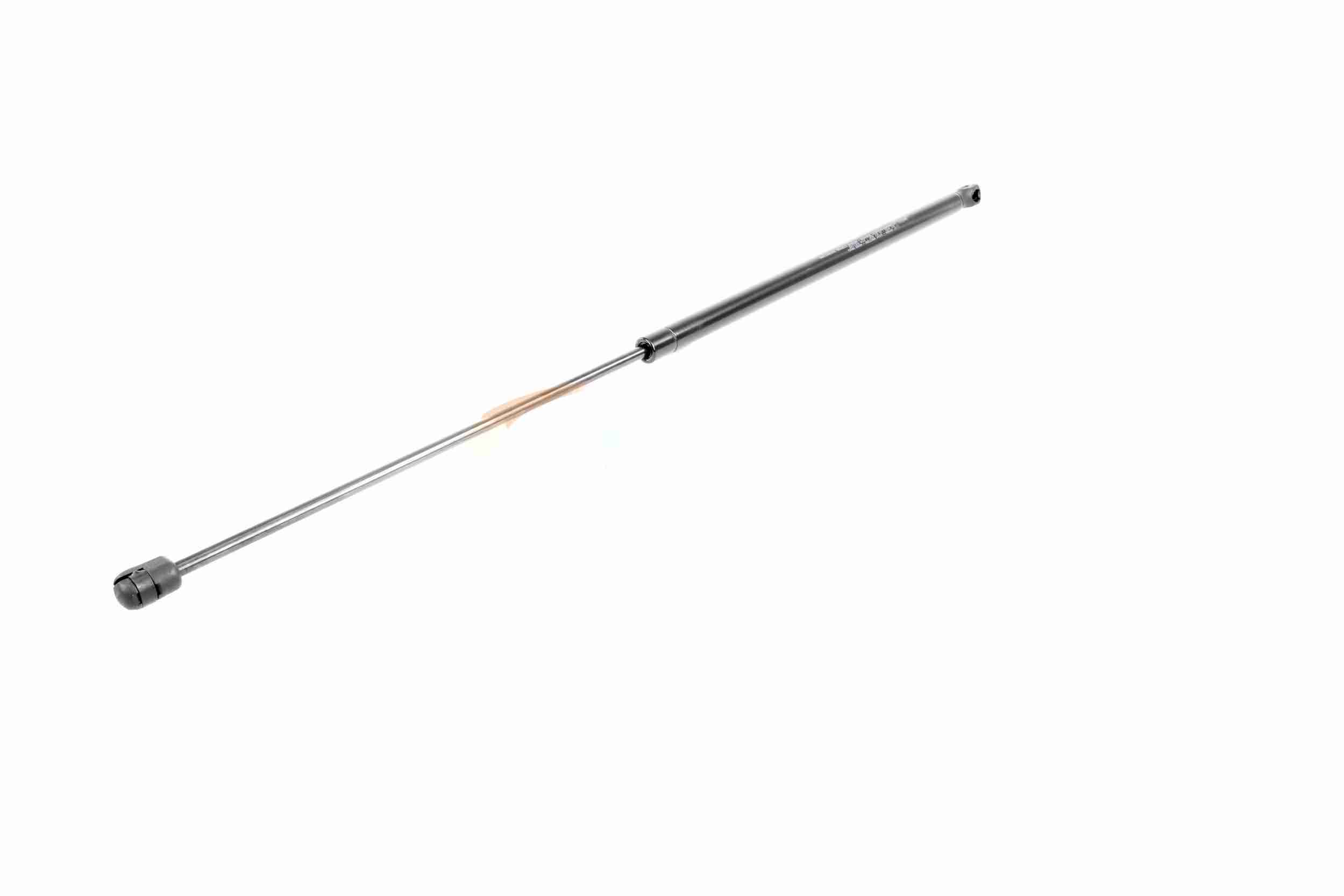 Vaico Gasveer, motorkap V10-0990