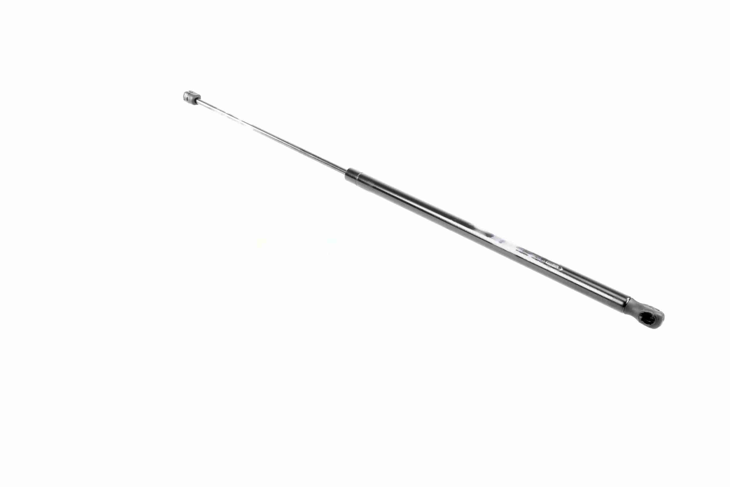 Vaico Gasveer, motorkap V10-0990