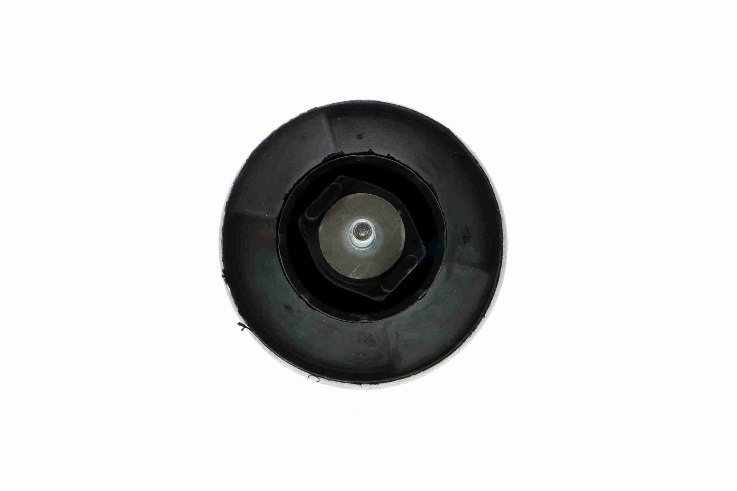 Vaico Motorsteun V10-1157