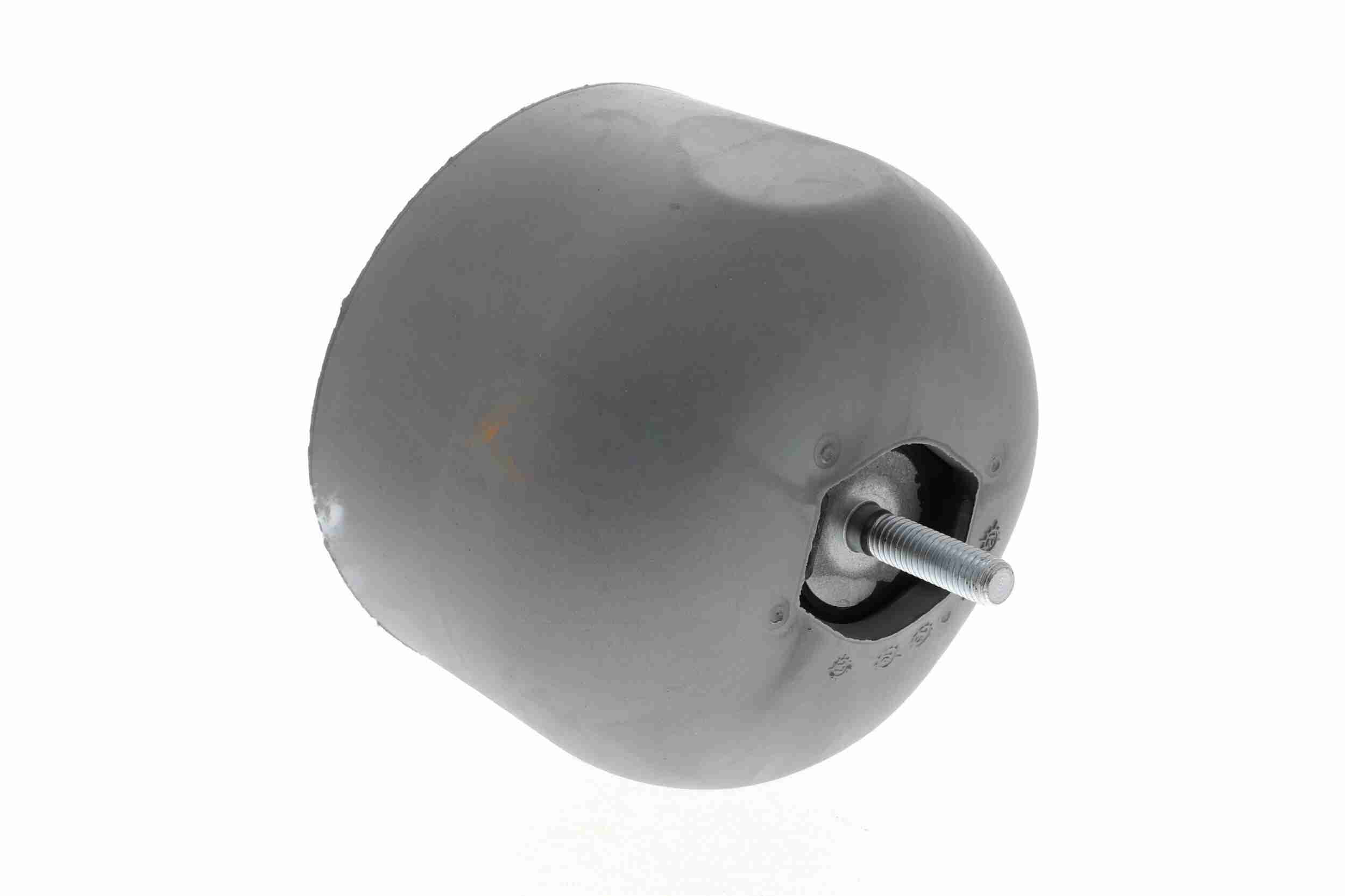 Vaico Motorsteun V10-1212