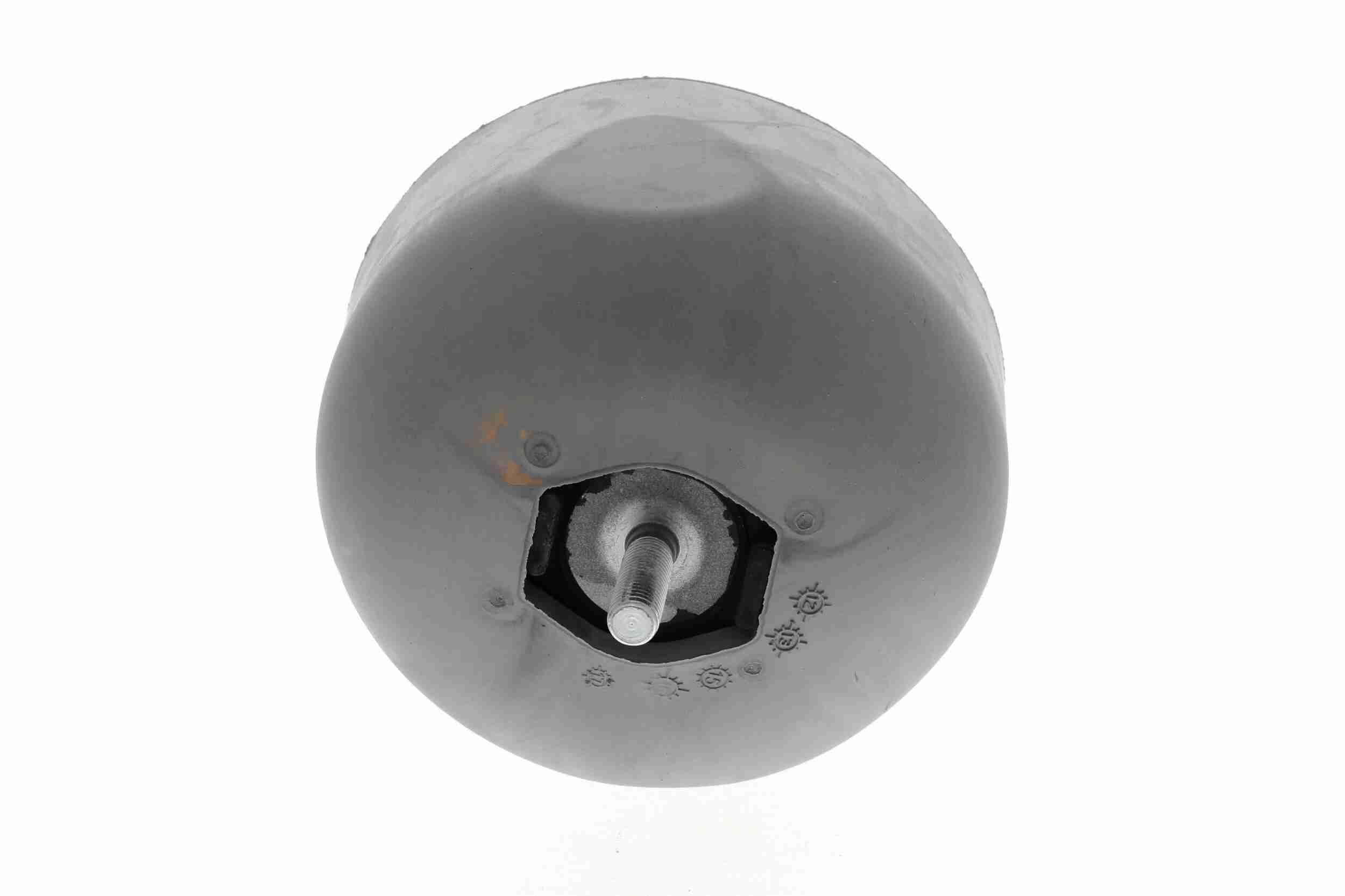 Vaico Motorsteun V10-1212