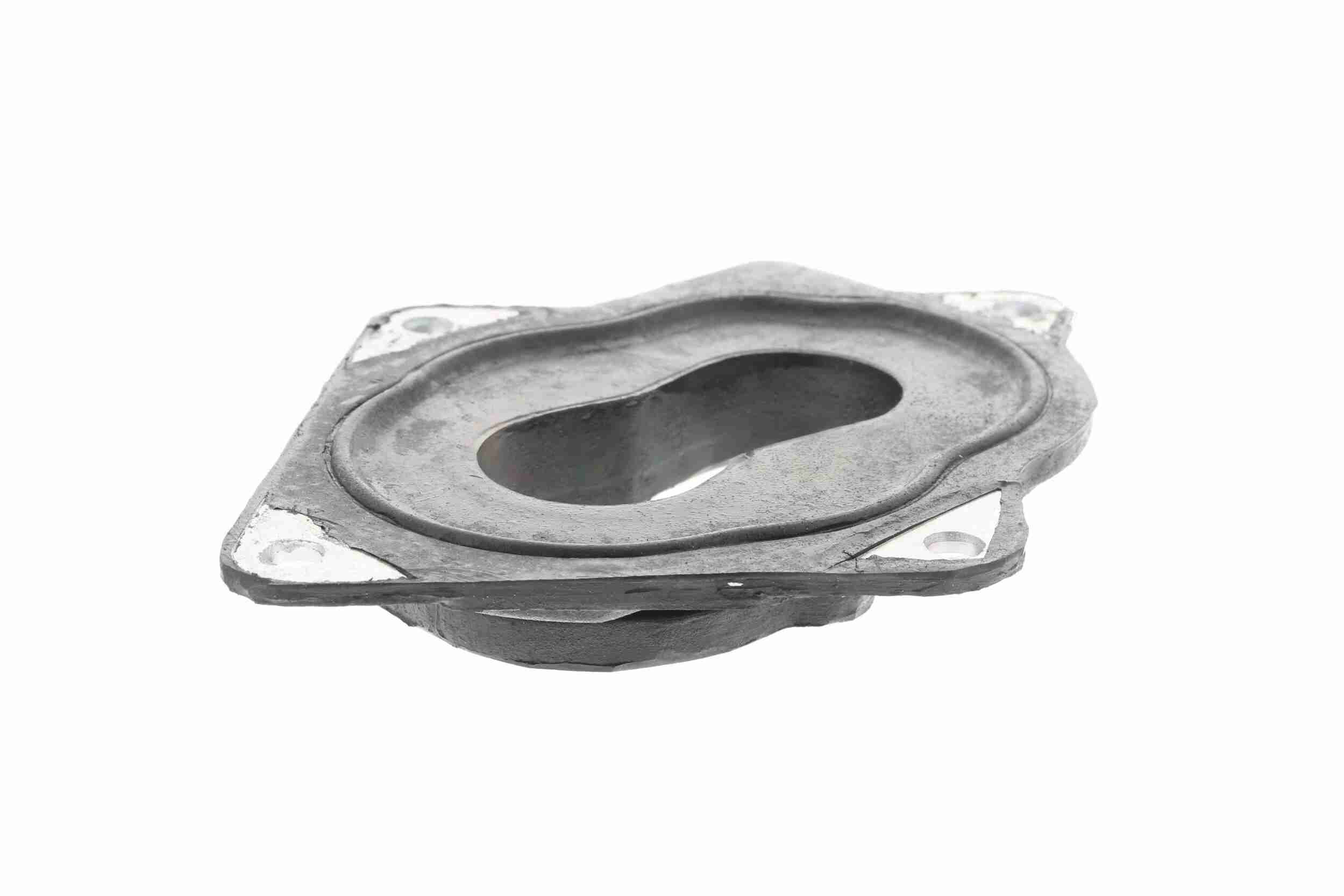 Vaico Carburateur flens V10-1239