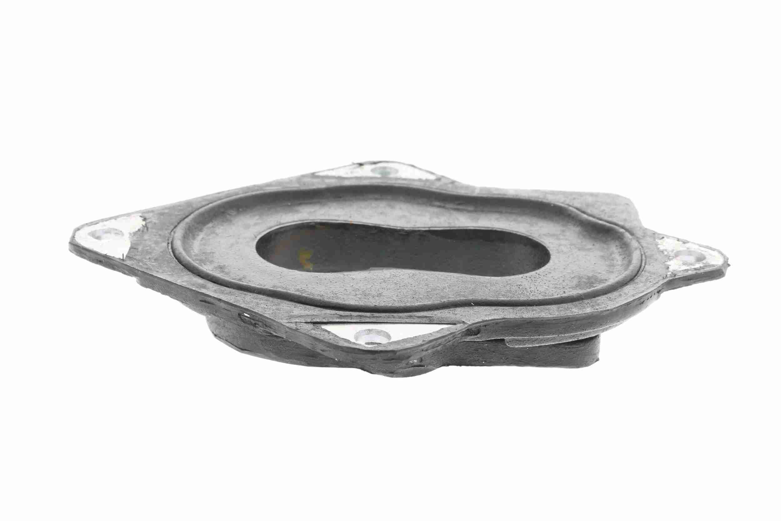 Vaico Carburateur flens V10-1239