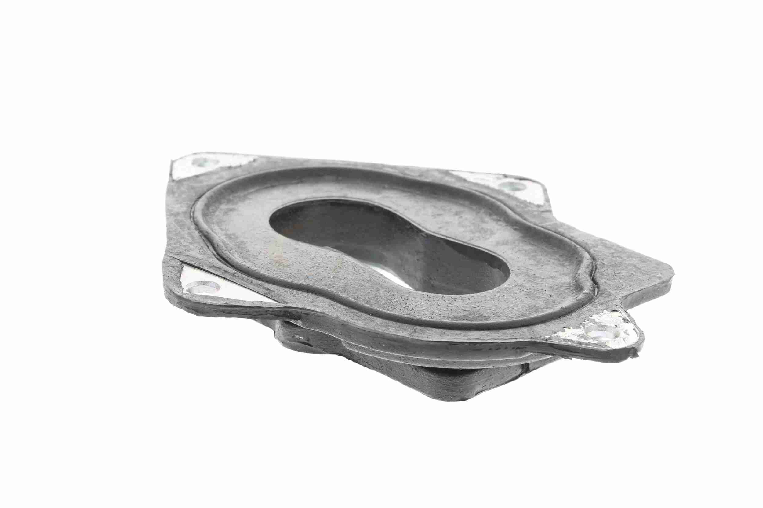 Vaico Carburateur flens V10-1239