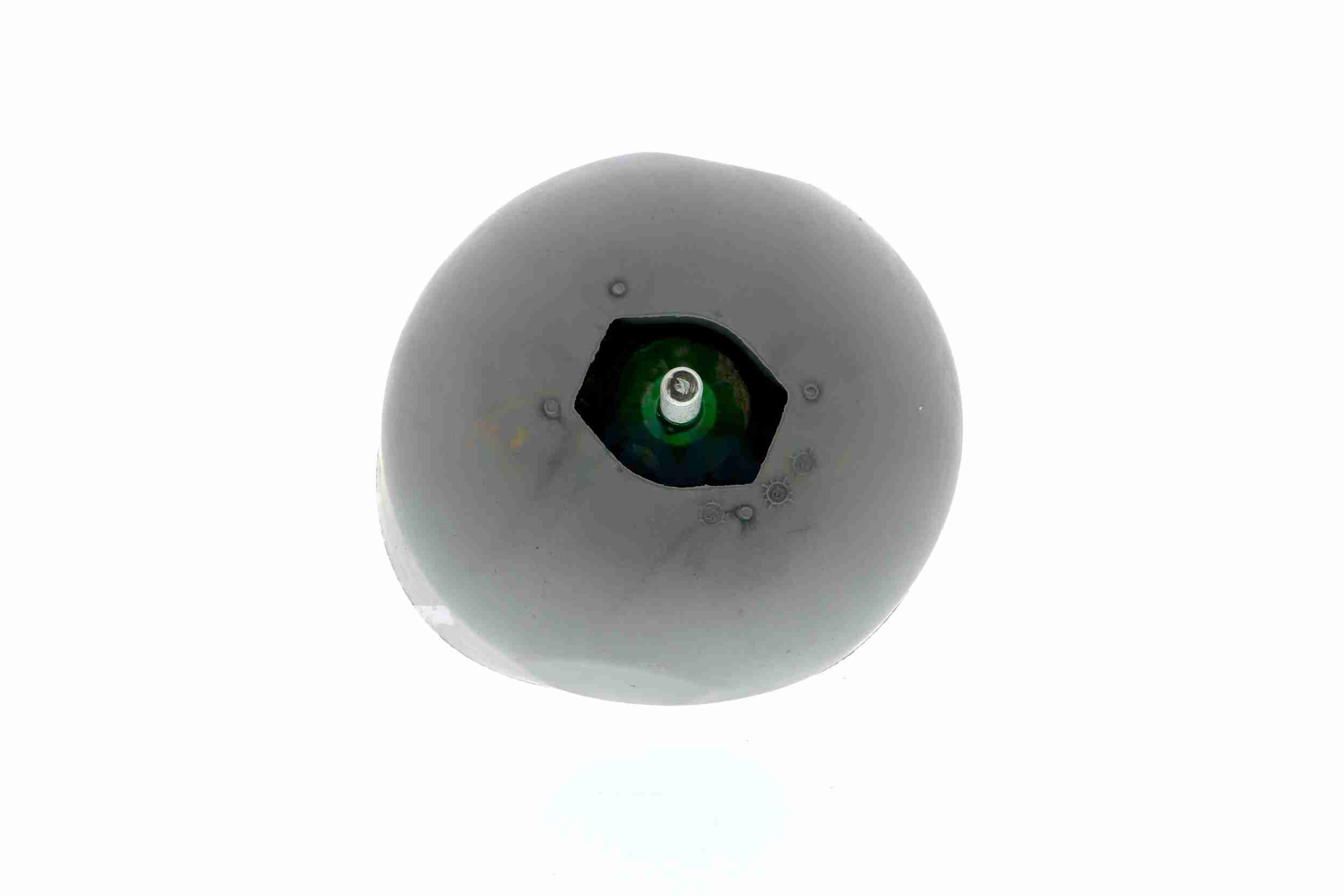 Vaico Motorsteun V10-1279