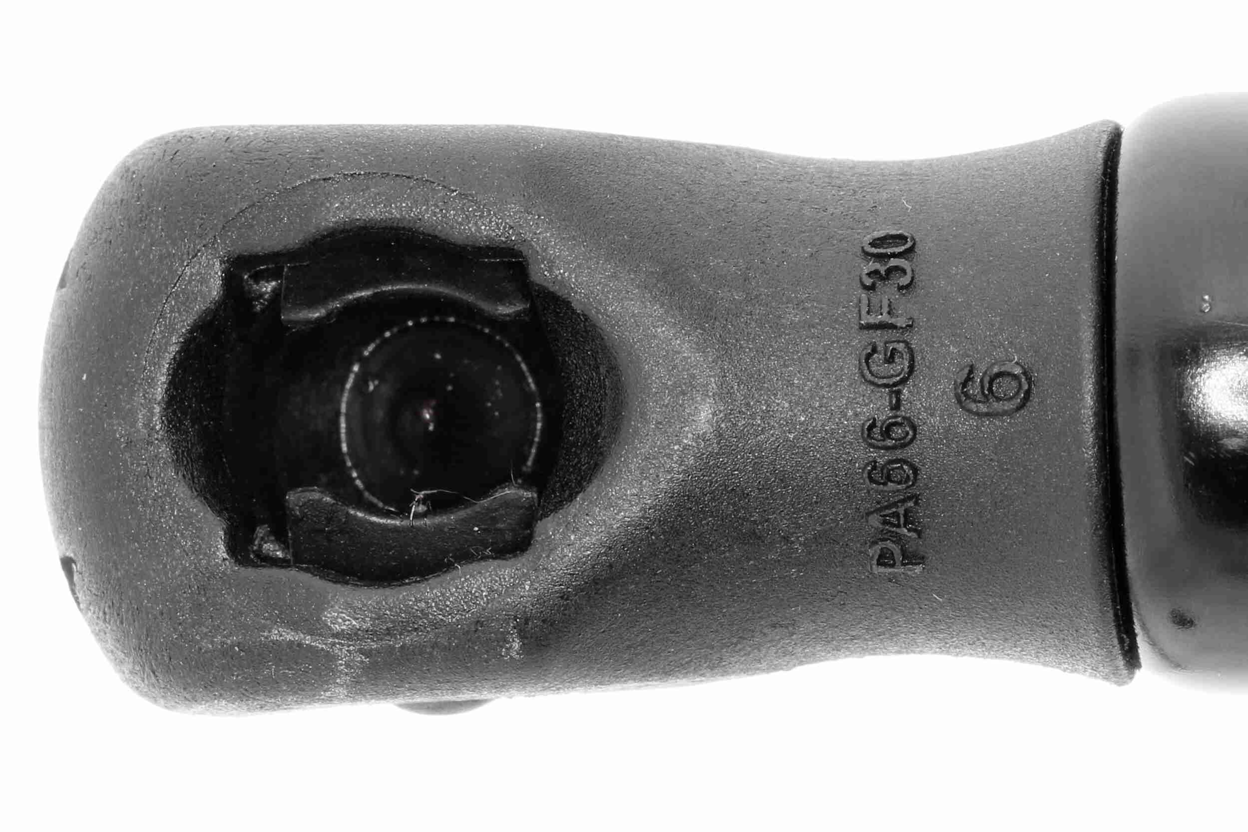 Vaico Gasveer, motorkap V10-1949