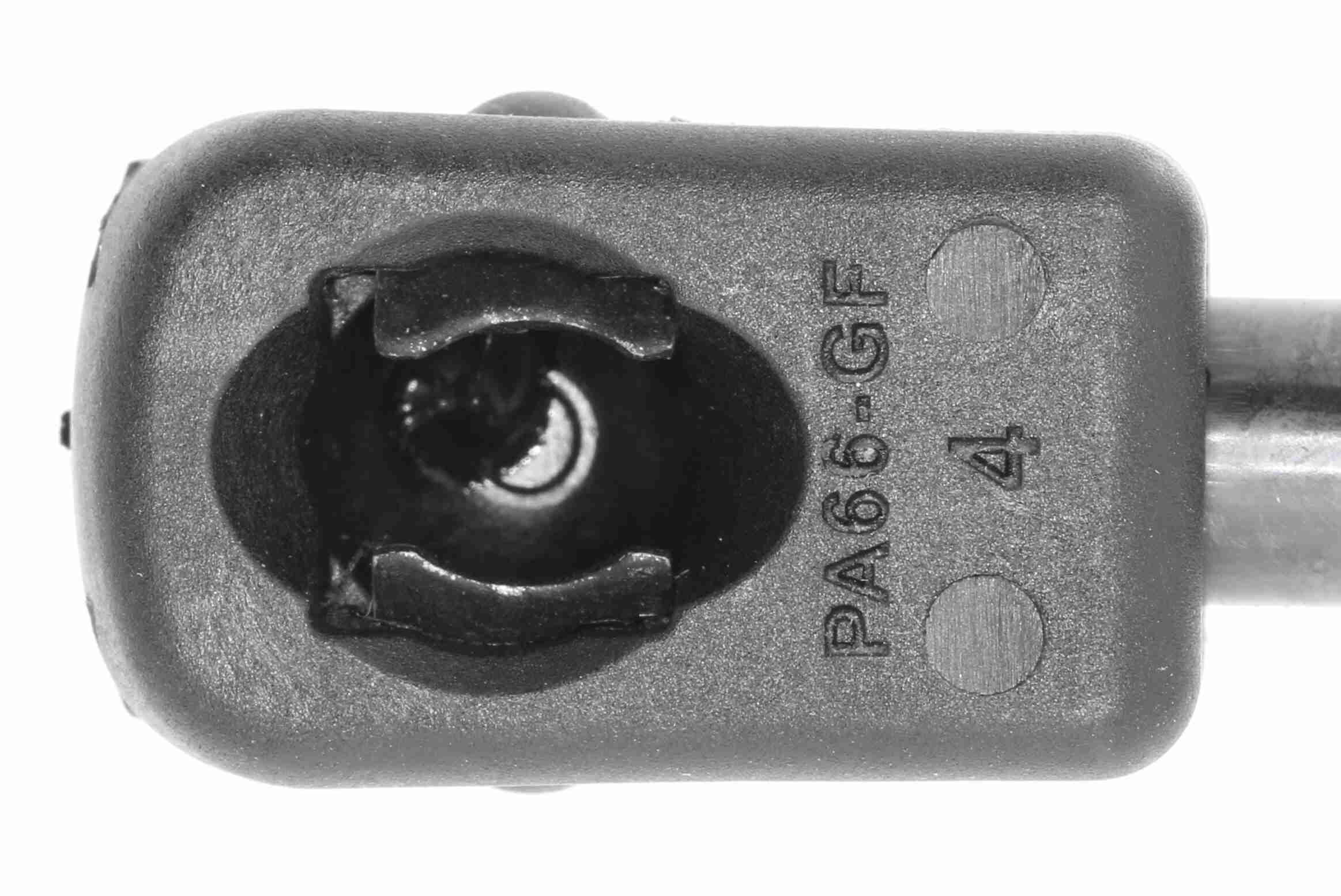 Vaico Gasveer, kofferruimte V10-1950