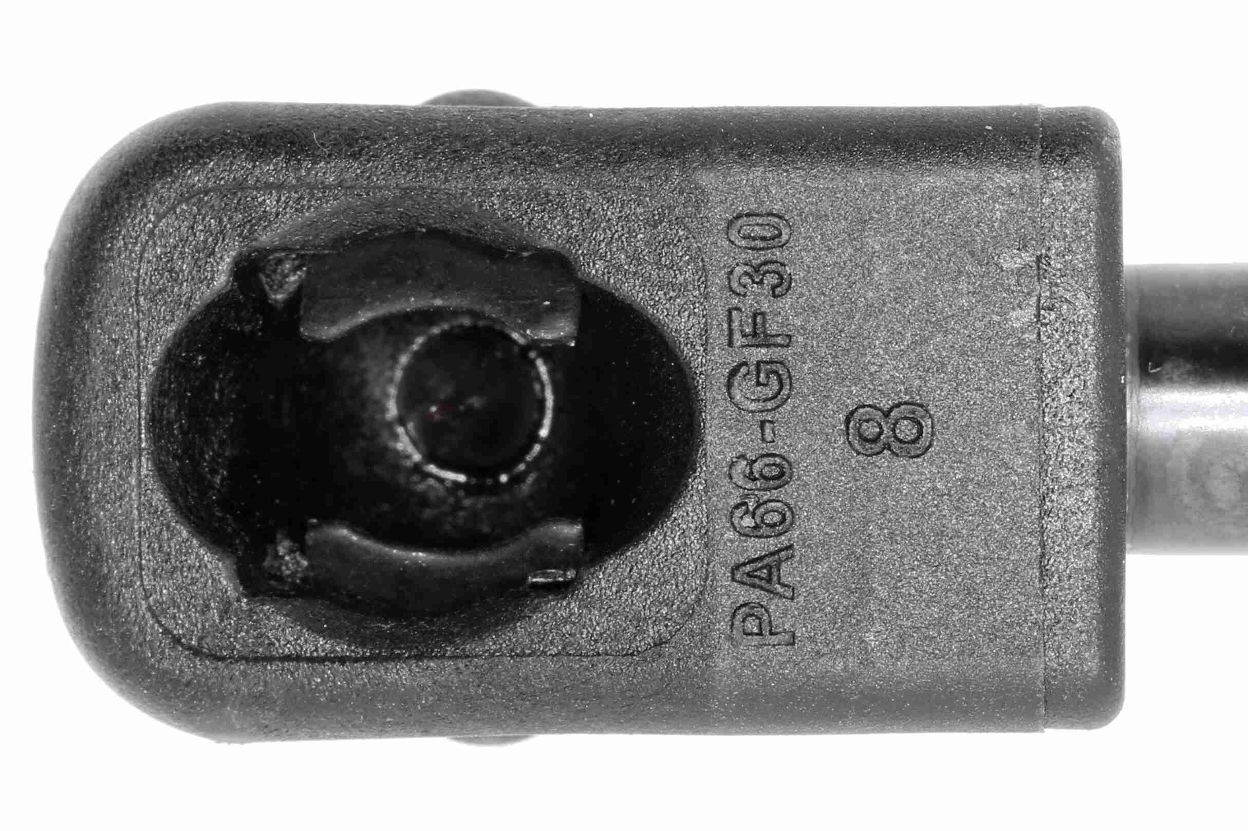 Vaico Gasveer, kofferruimte V10-1951