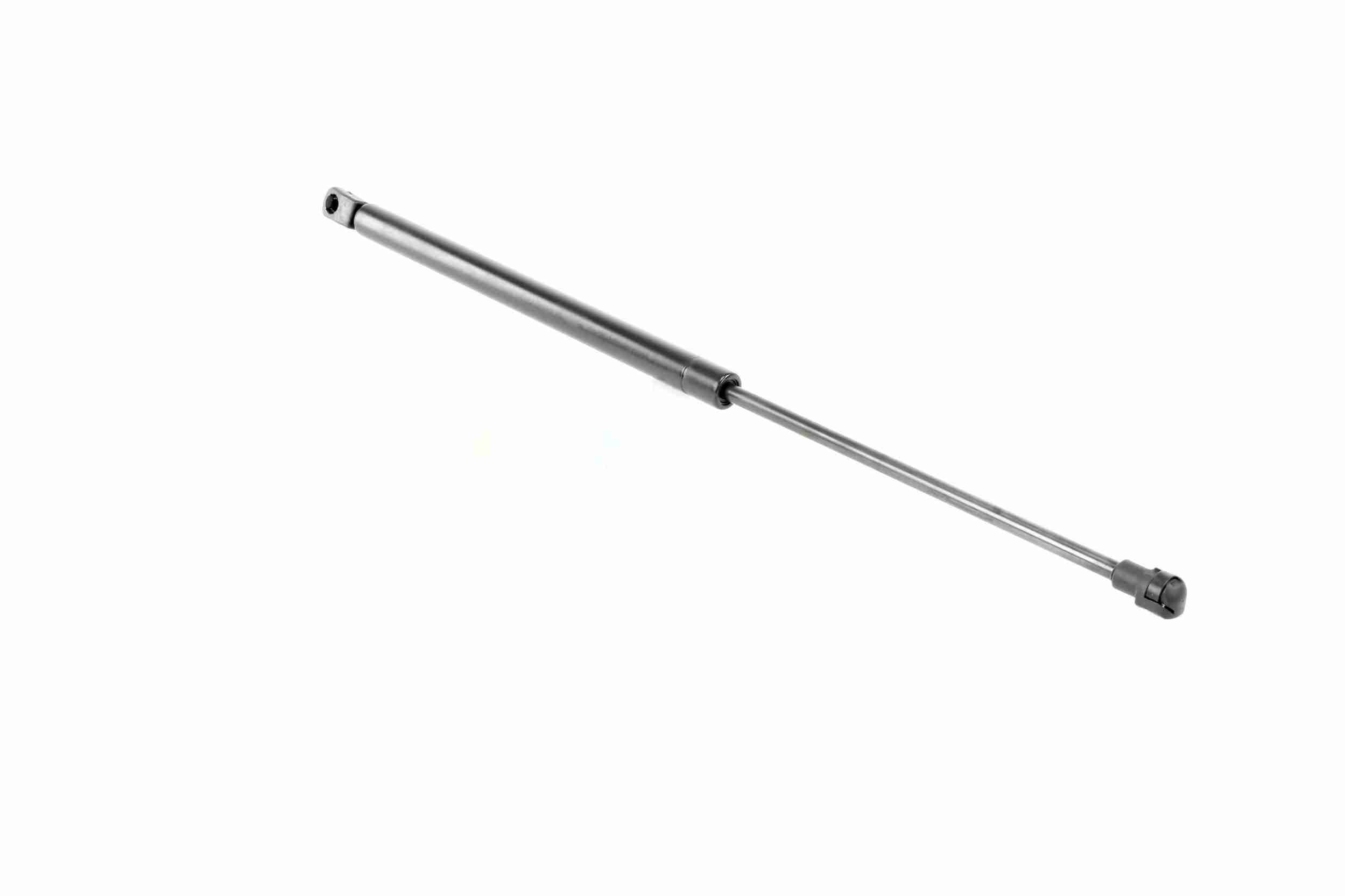 Vaico Gasveer, motorkap V10-1973