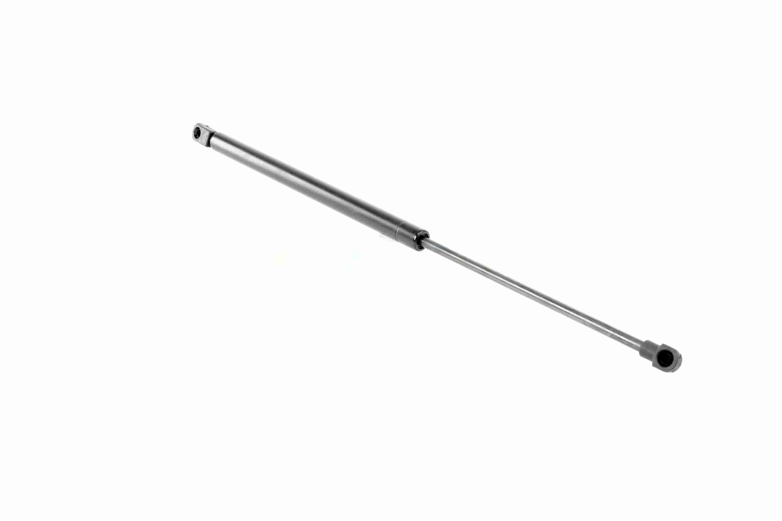 Vaico Gasveer, motorkap V10-1974