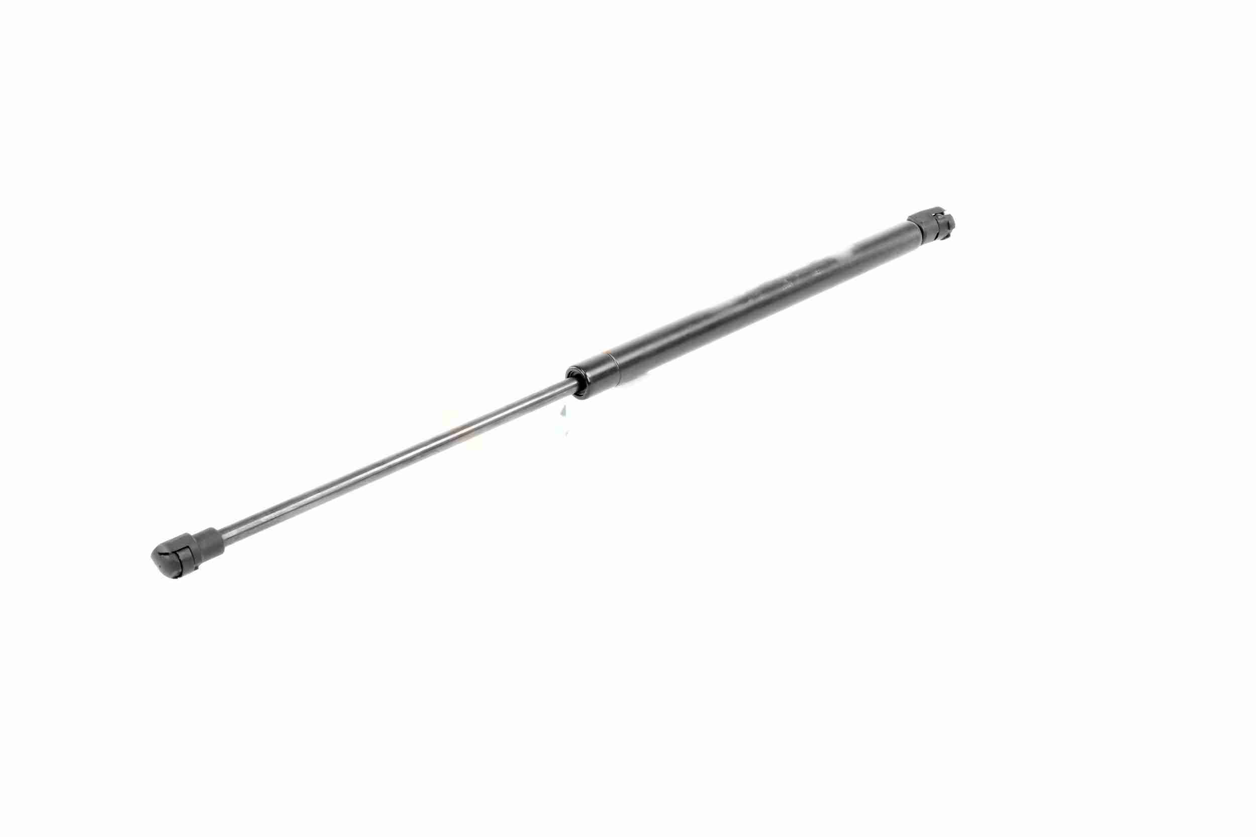 Vaico Gasveer, motorkap V10-1974