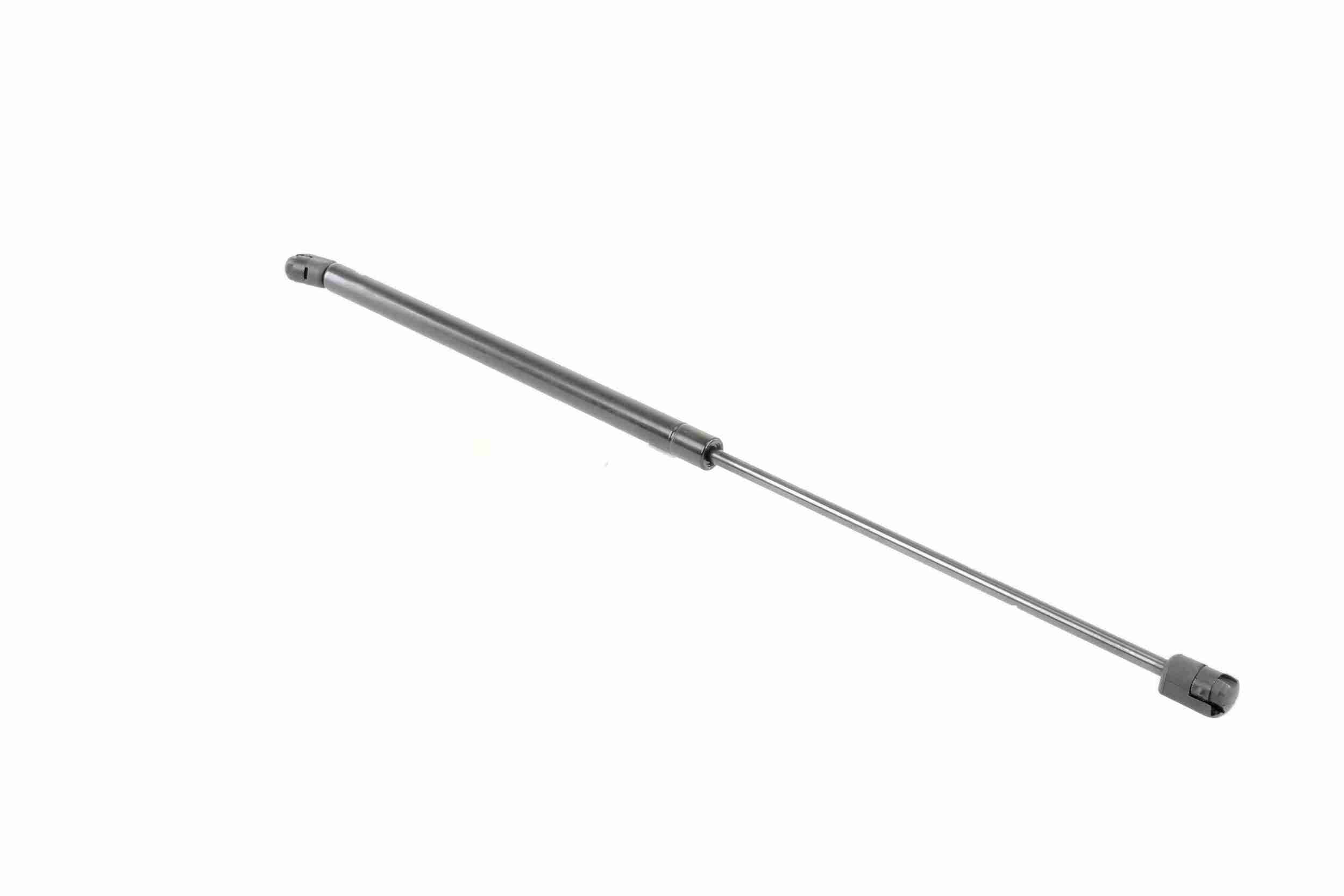 Vaico Gasveer, motorkap V10-1979