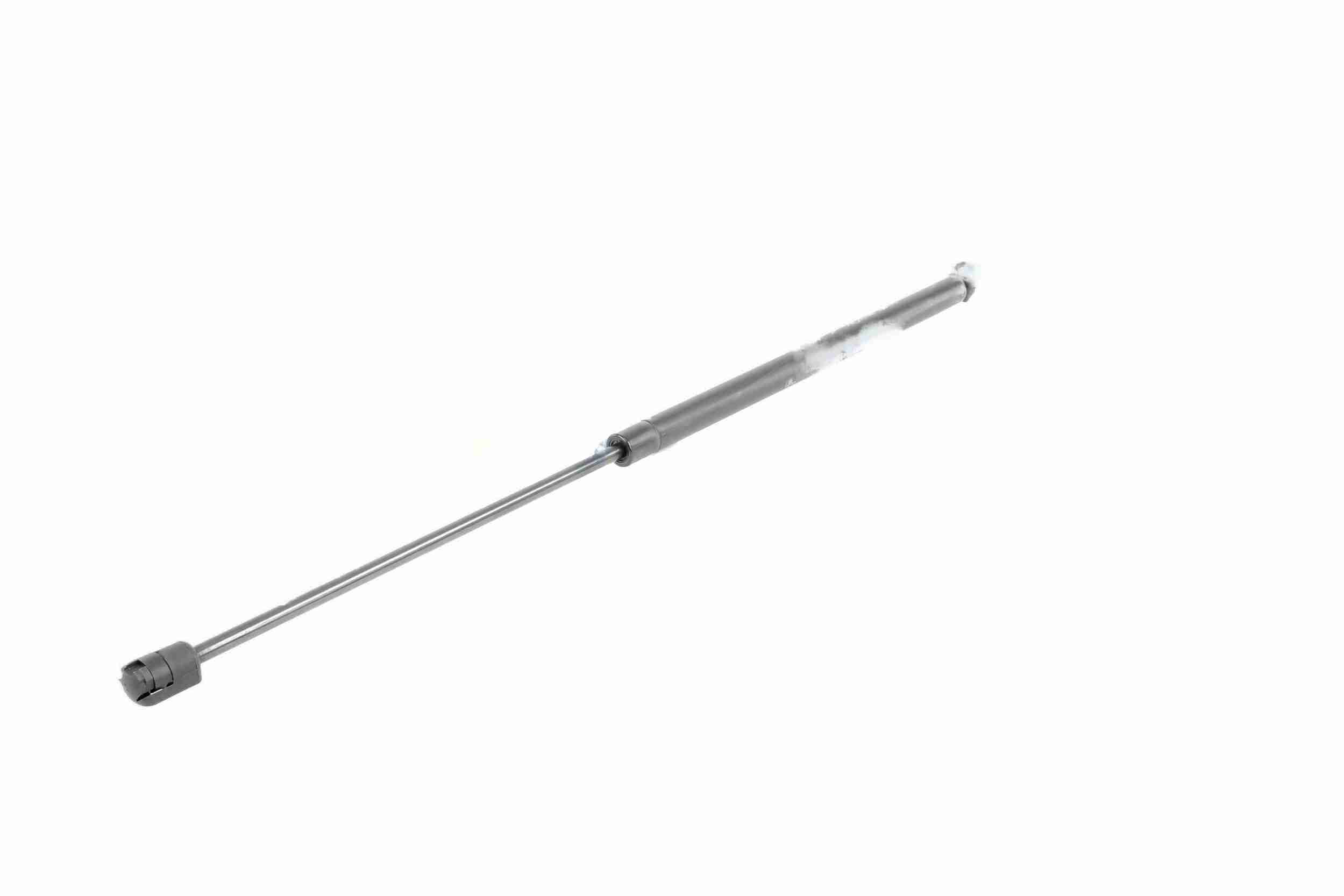 Vaico Gasveer, motorkap V10-1979