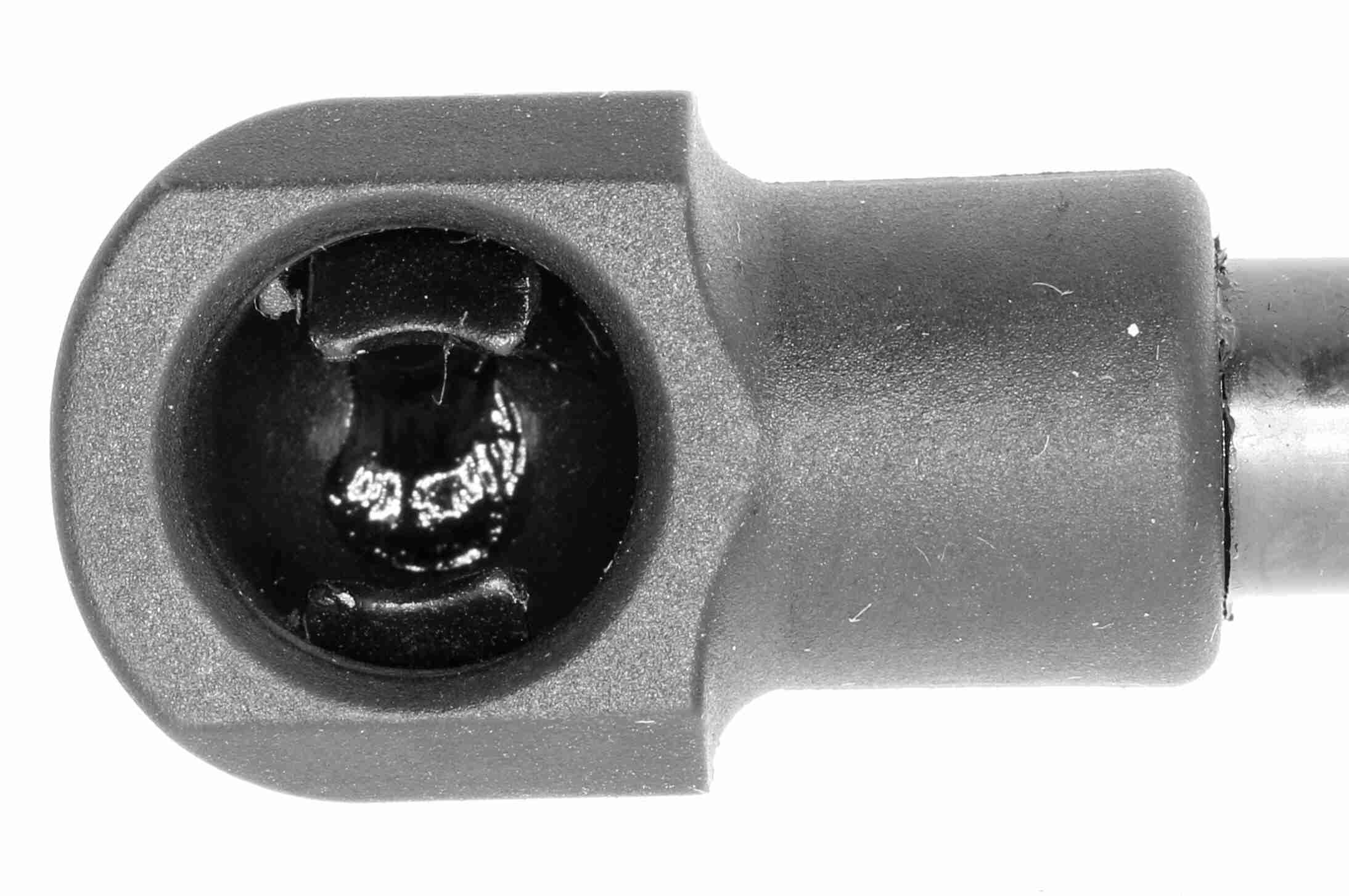 Vaico Gasveer, motorkap V10-1980