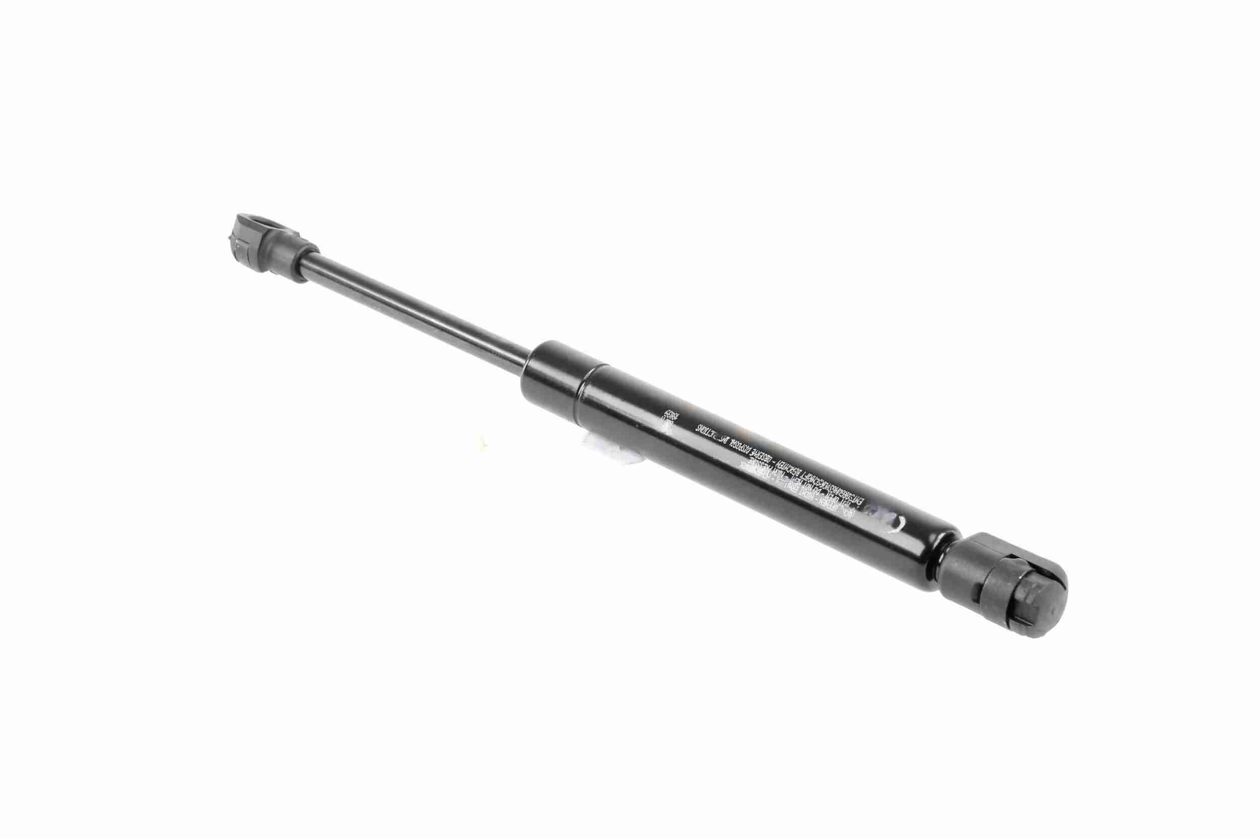 Vaico Gasveer, kofferruimte V10-1981