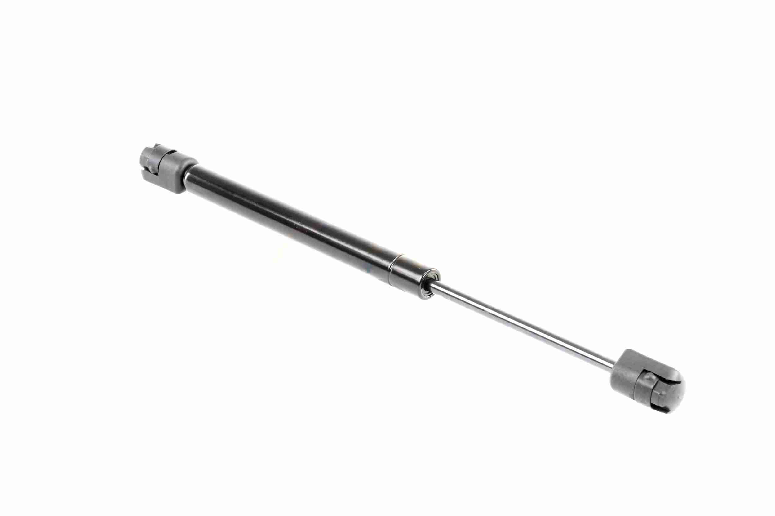 Vaico Gasveer, motorkap V10-1987