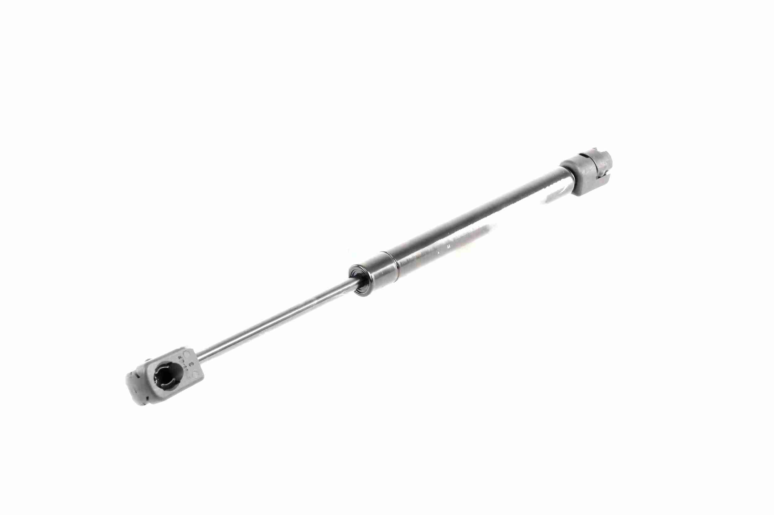 Vaico Gasveer, motorkap V10-1987