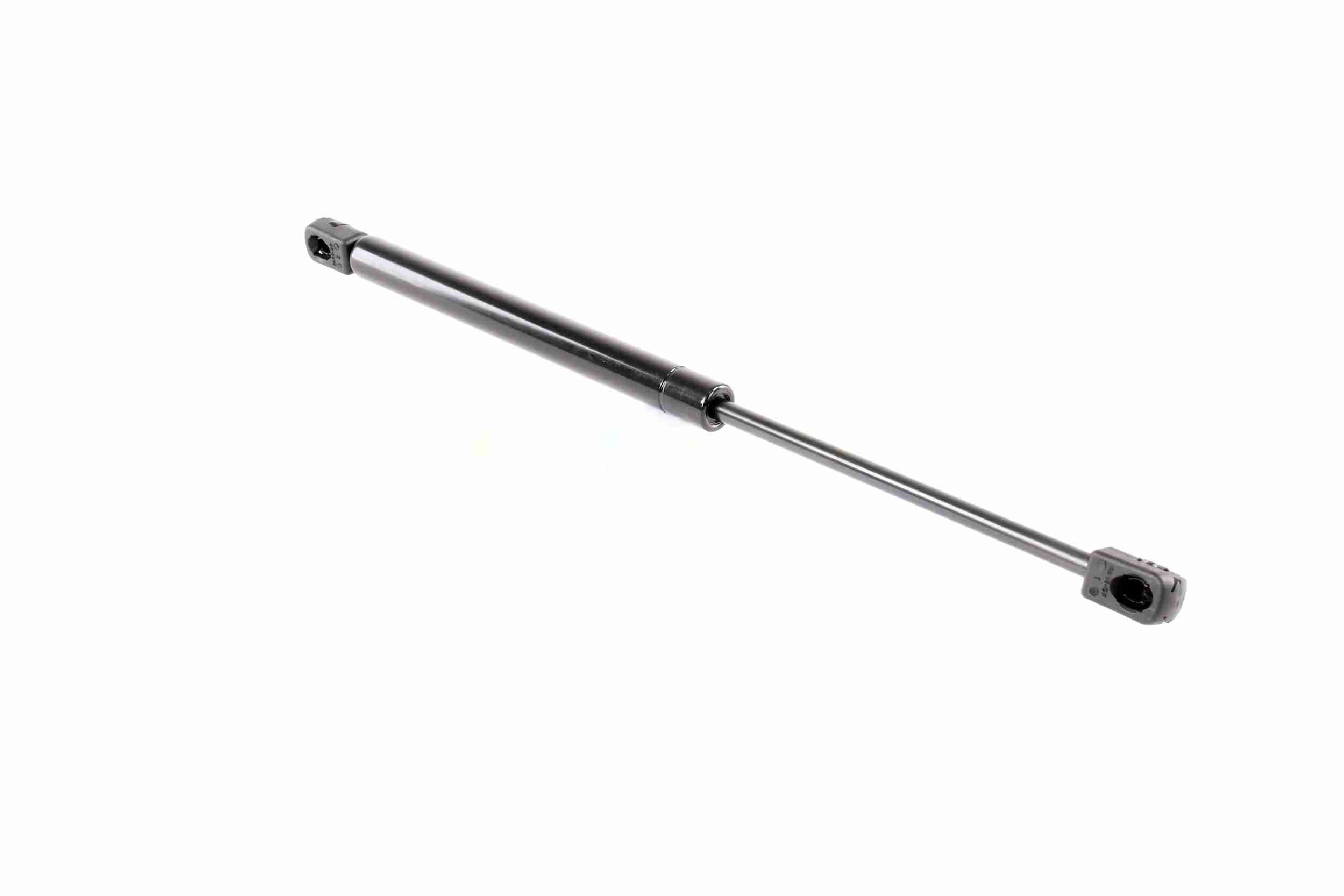 Vaico Gasveer, motorkap V10-1990