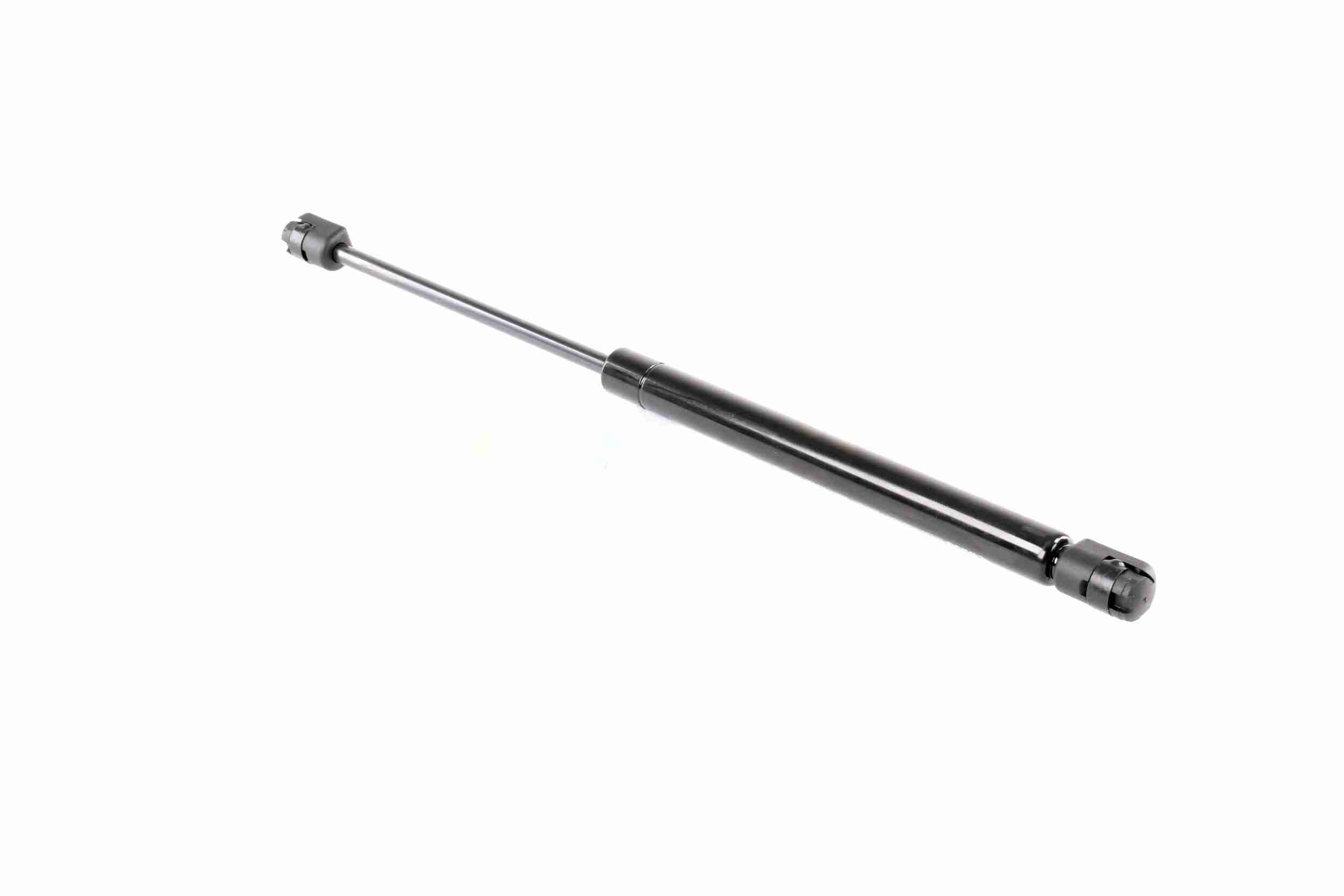 Vaico Gasveer, motorkap V10-1990