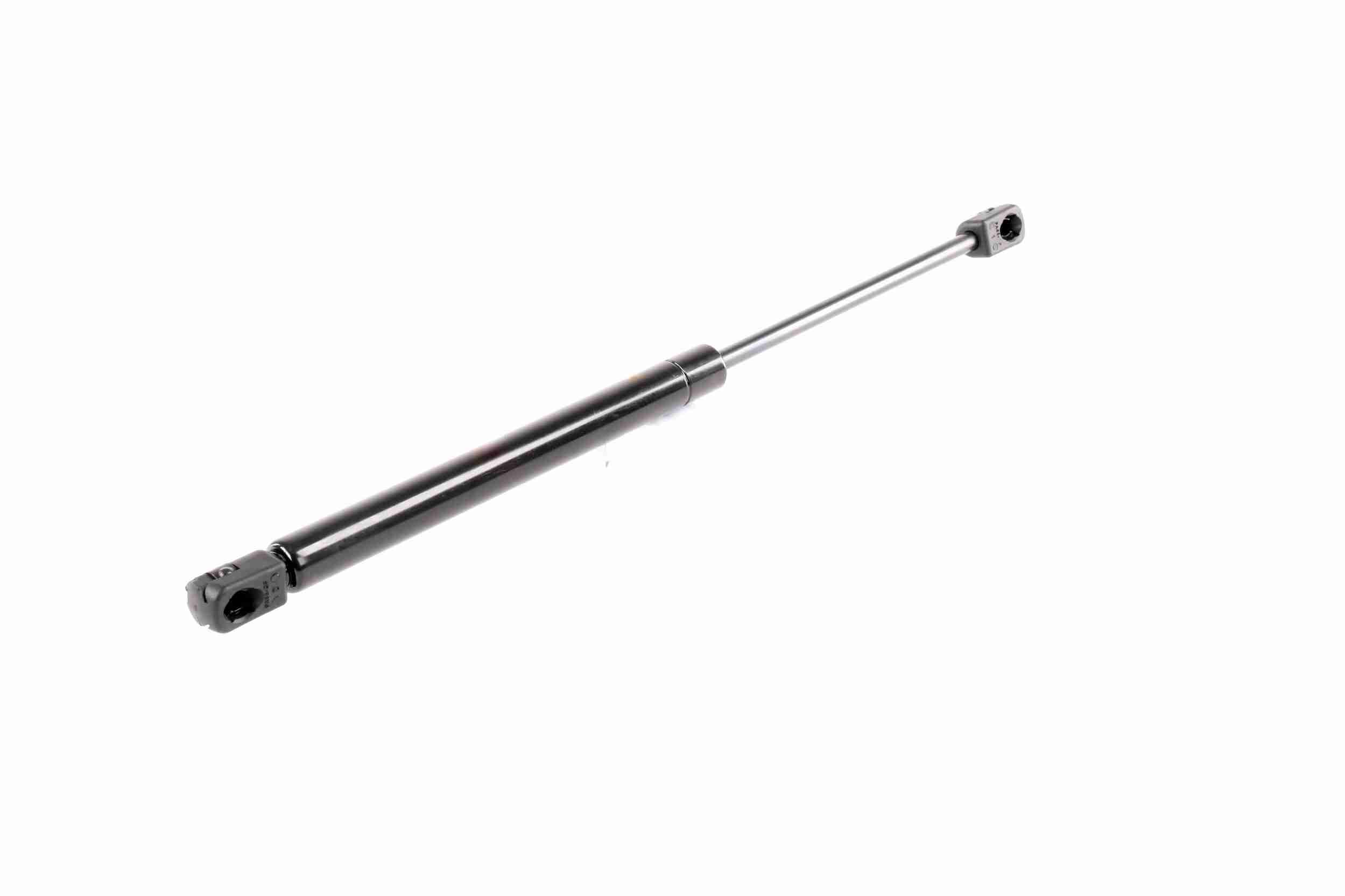 Vaico Gasveer, motorkap V10-1990