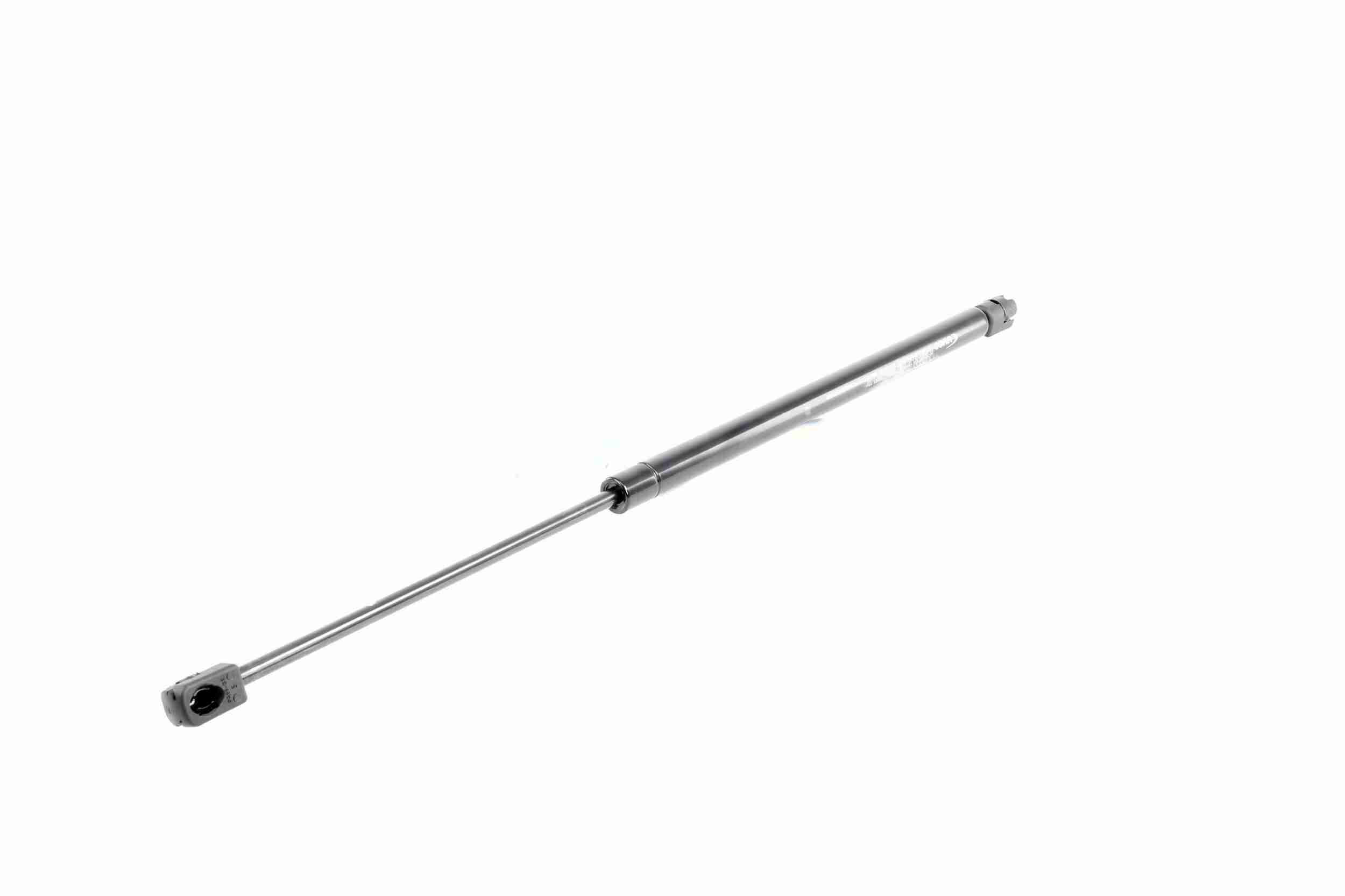 Vaico Gasveer, motorkap V10-1993