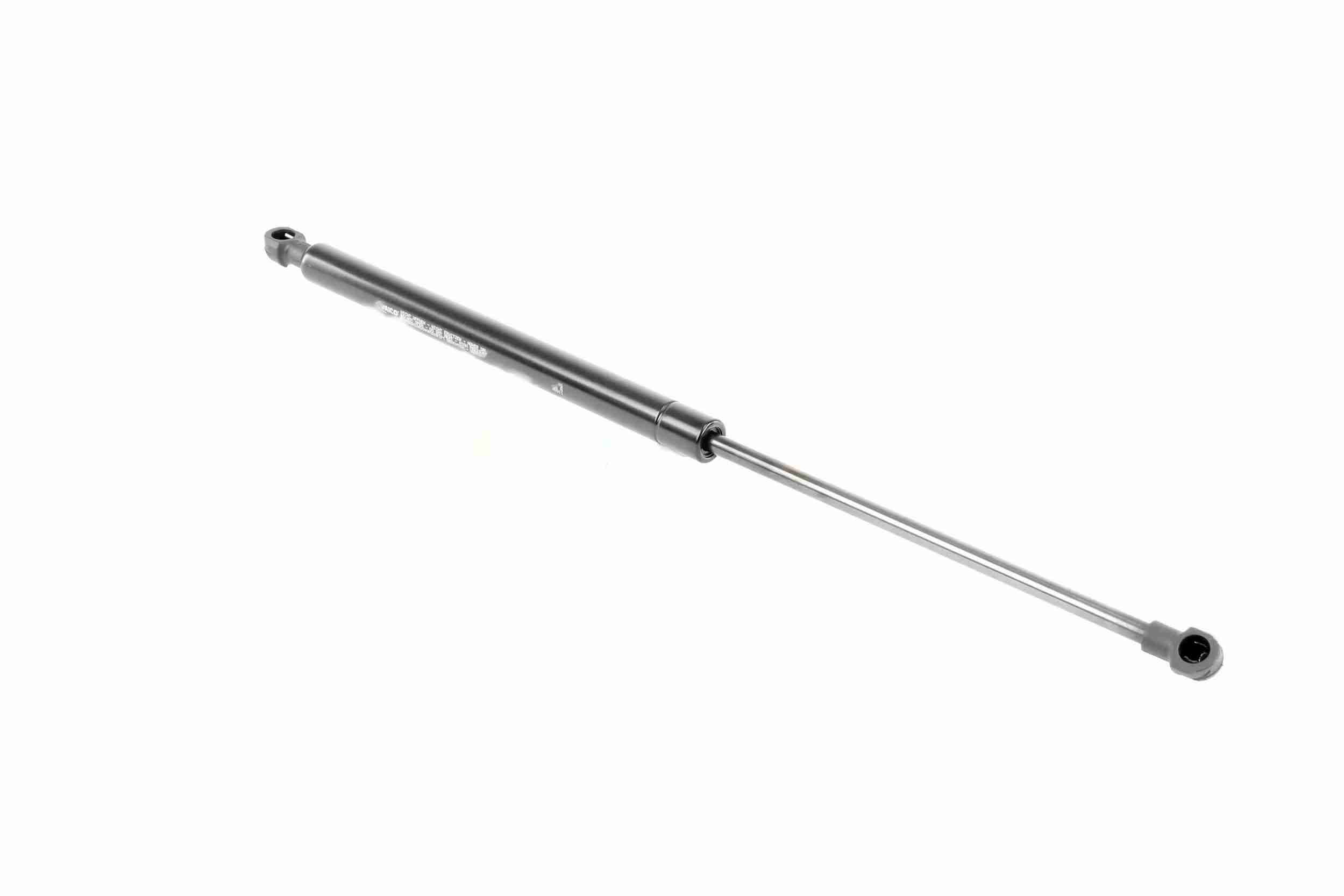 Vaico Gasveer, motorkap V10-1995