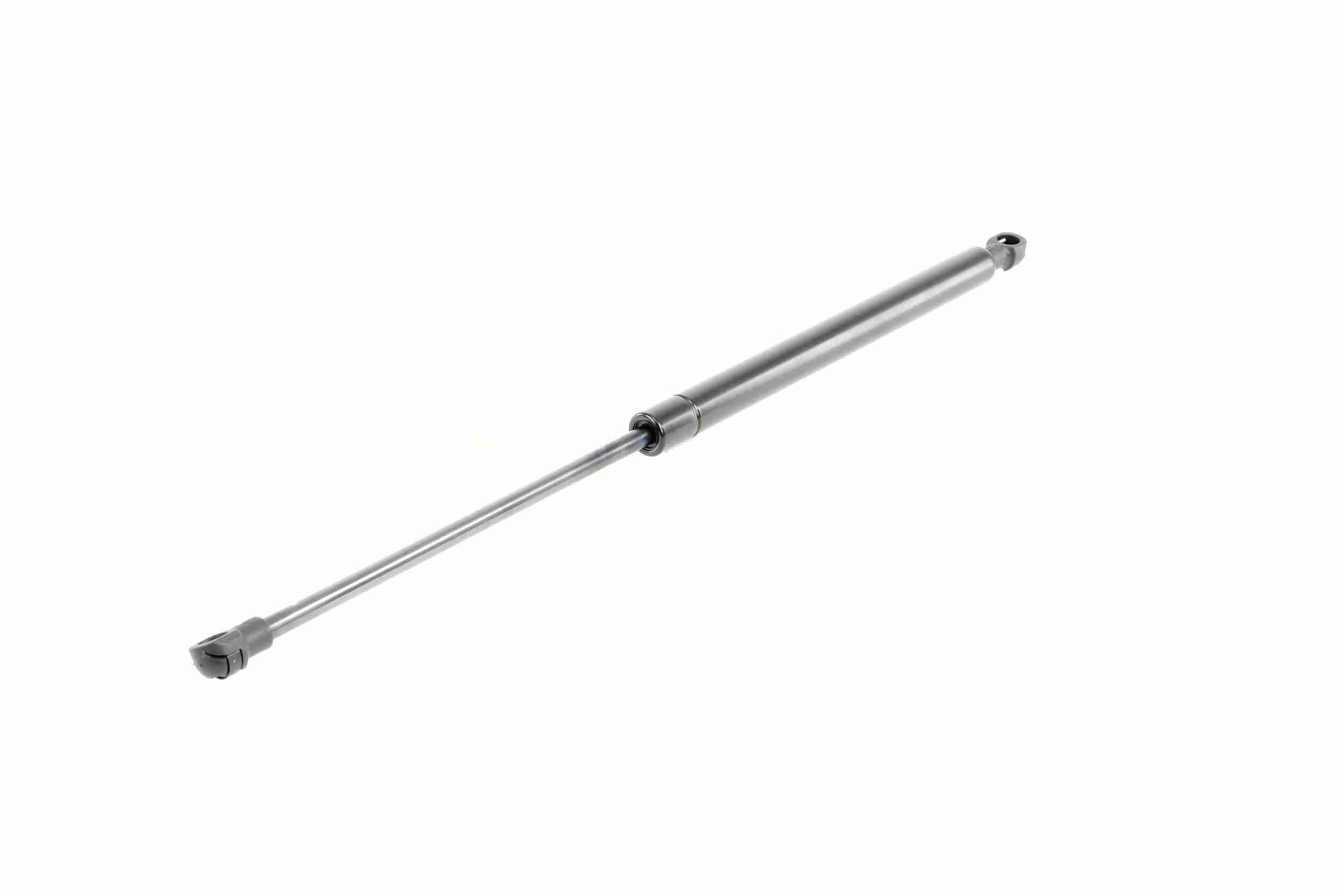 Vaico Gasveer, motorkap V10-1995