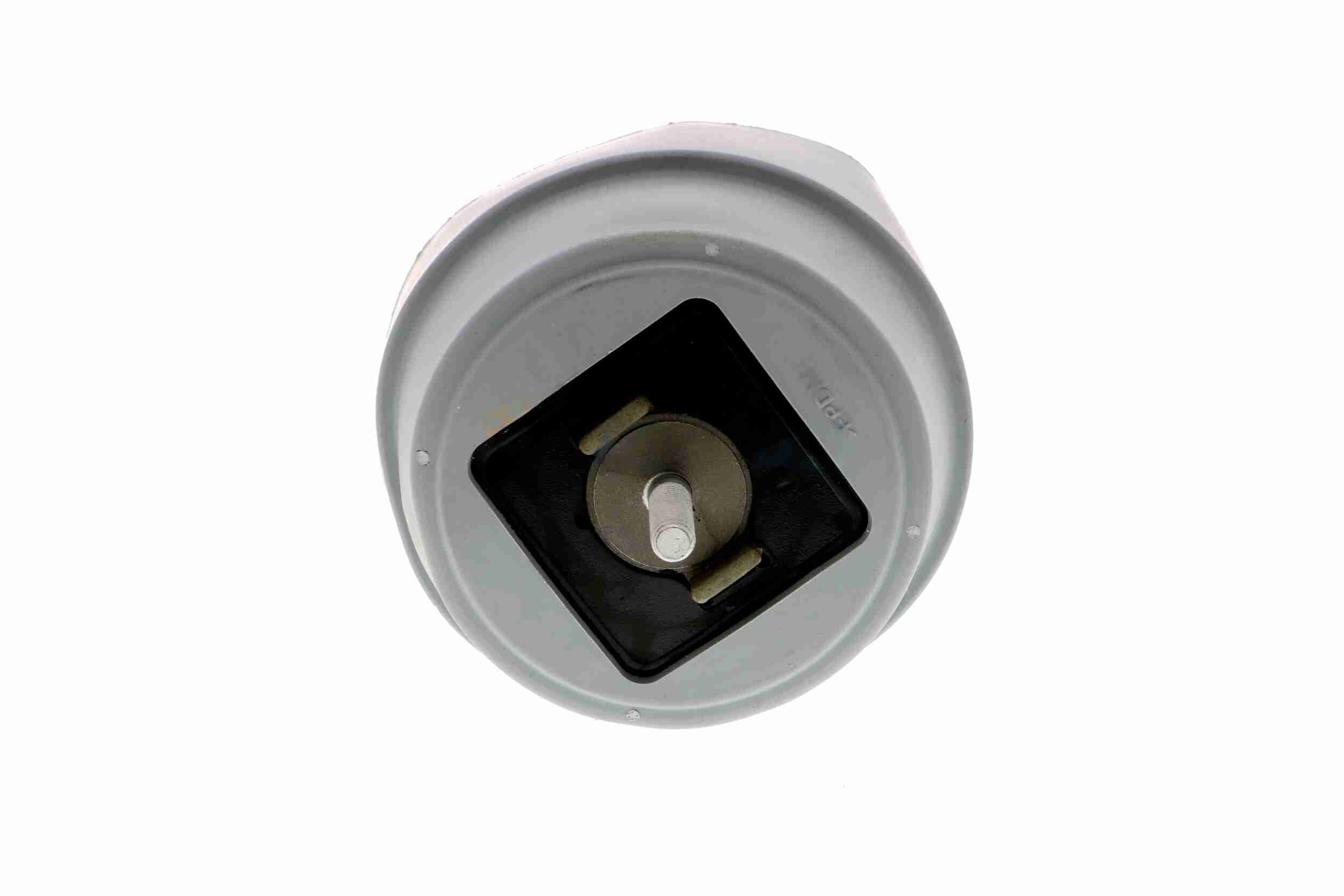 Vaico Motorsteun V10-2184