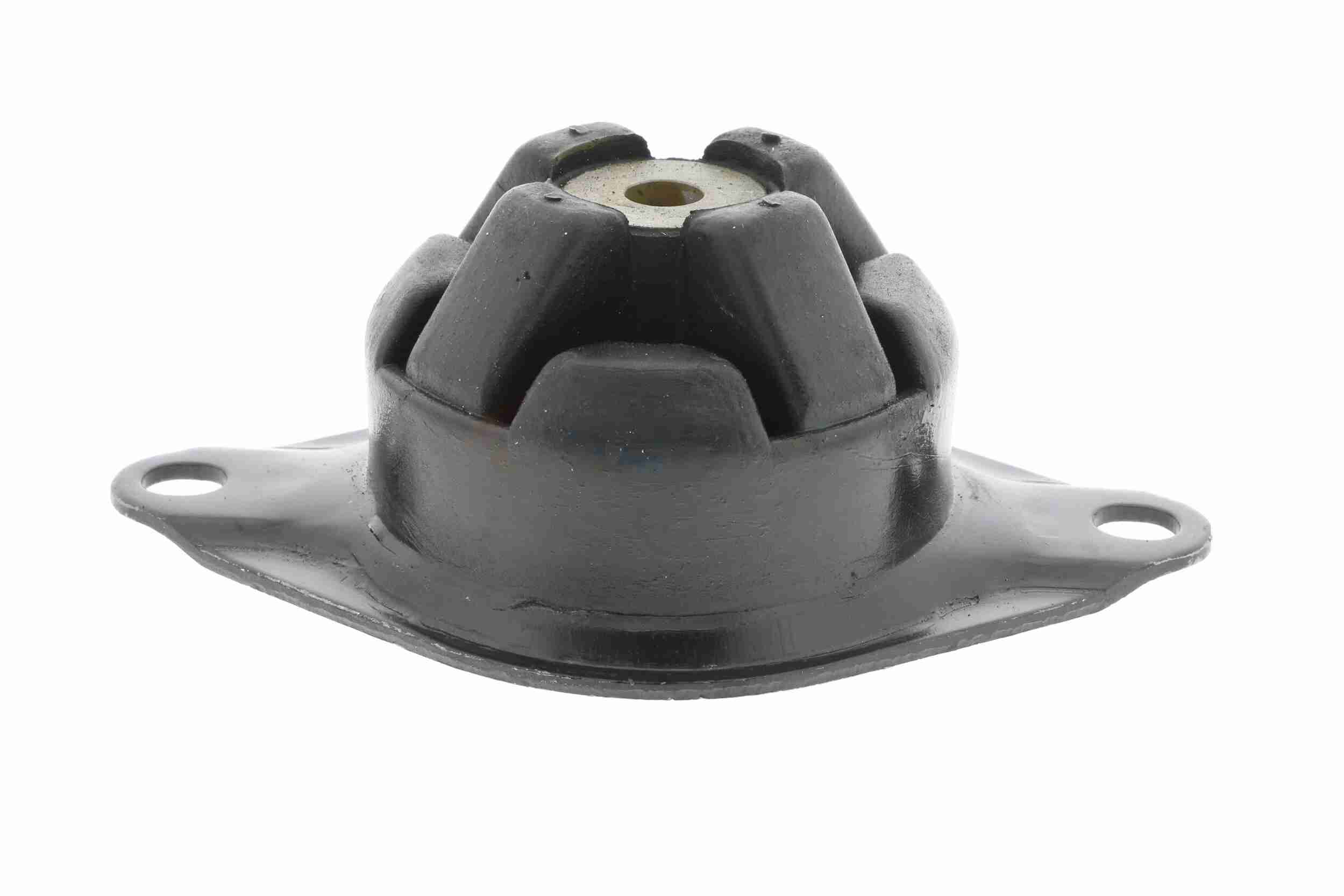 Vaico Motorsteun V10-2430