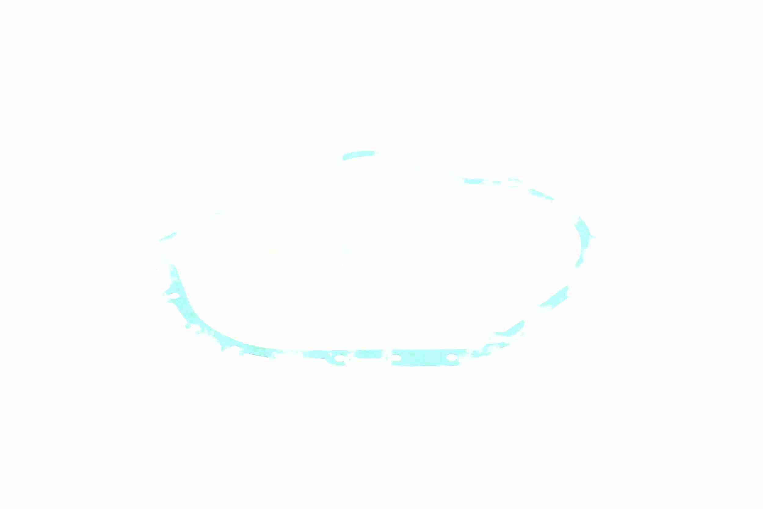 Vaico Oliekuip automaatbak afdichting V10-2537