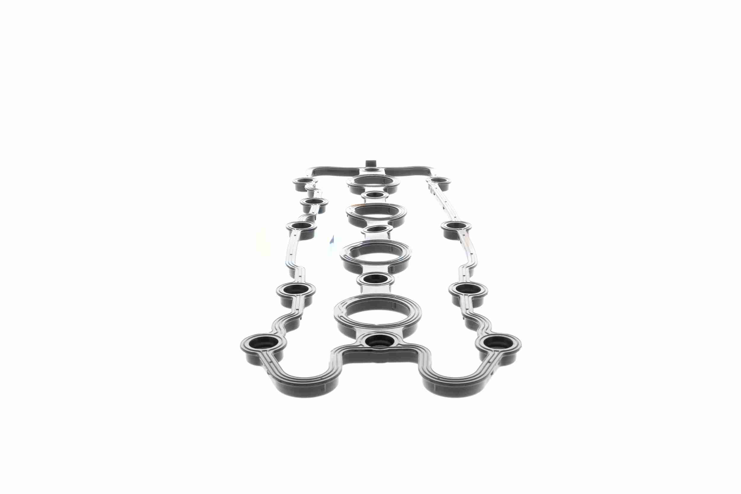 Vaico Kleppendekselpakking V10-2561