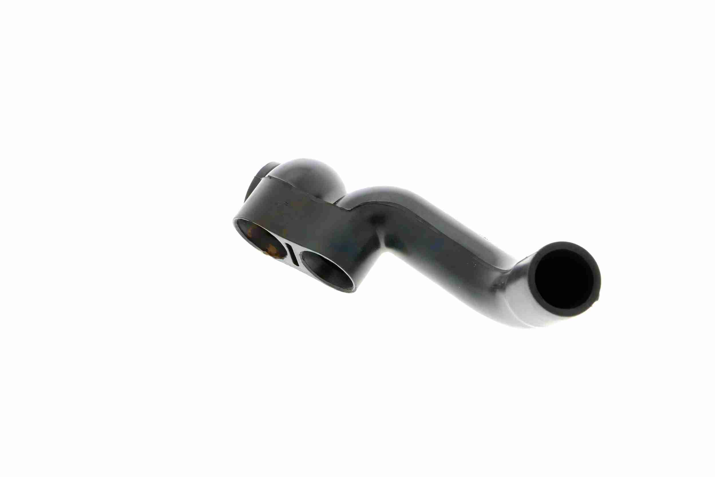 Vaico Slangen V10-2771