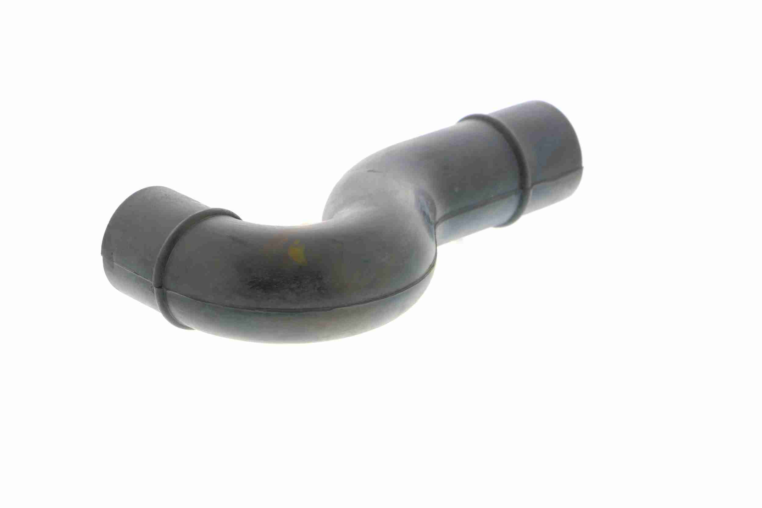 Vaico Slangen V10-2775