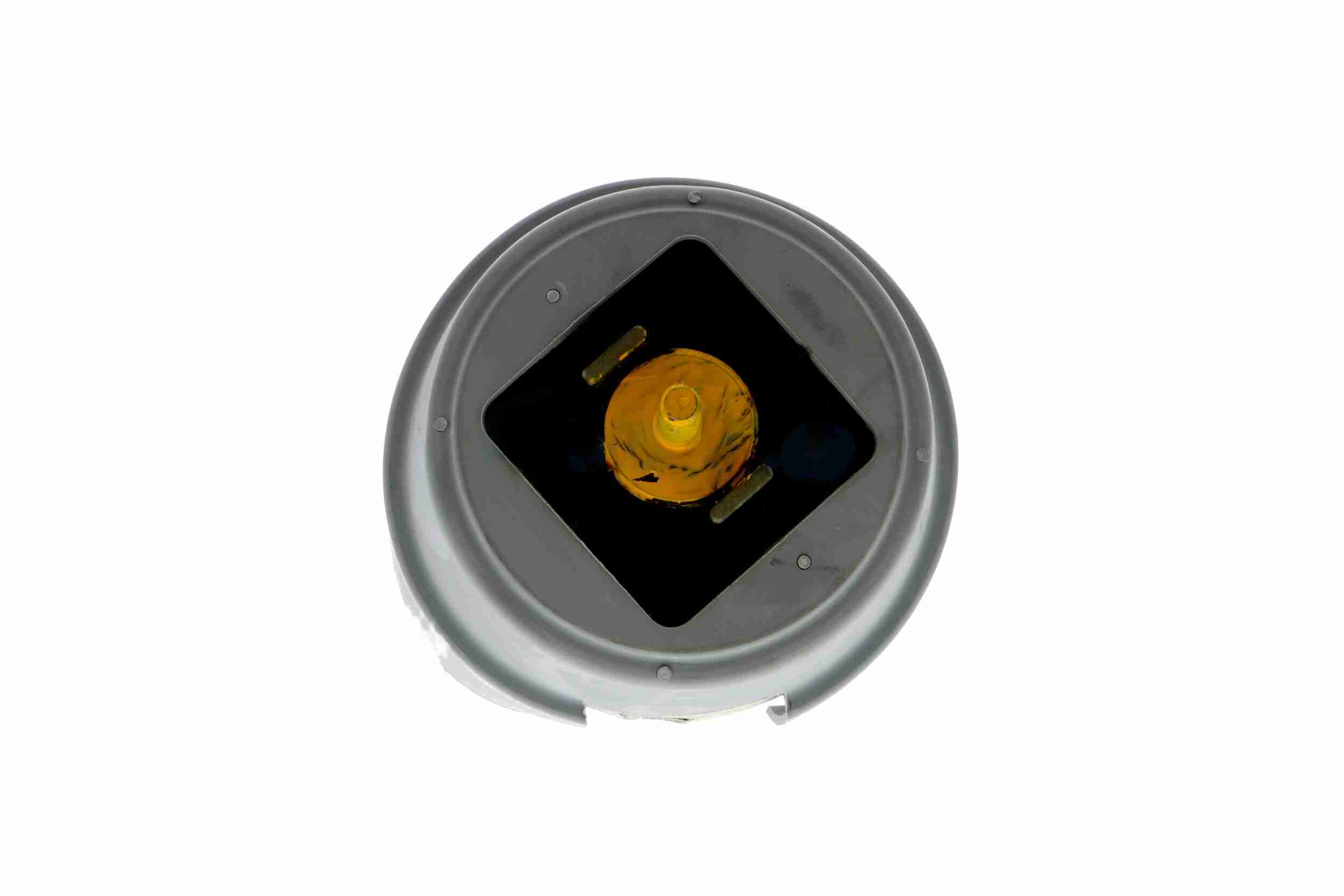 Vaico Motorsteun V10-3063