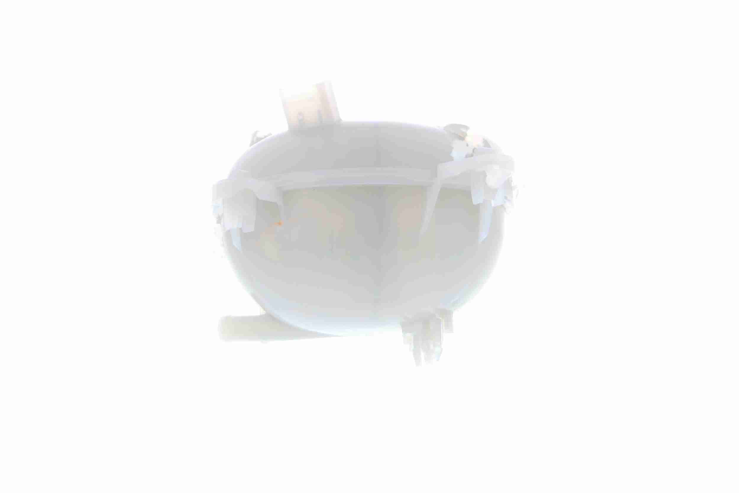 Vaico Expansievat V10-3997