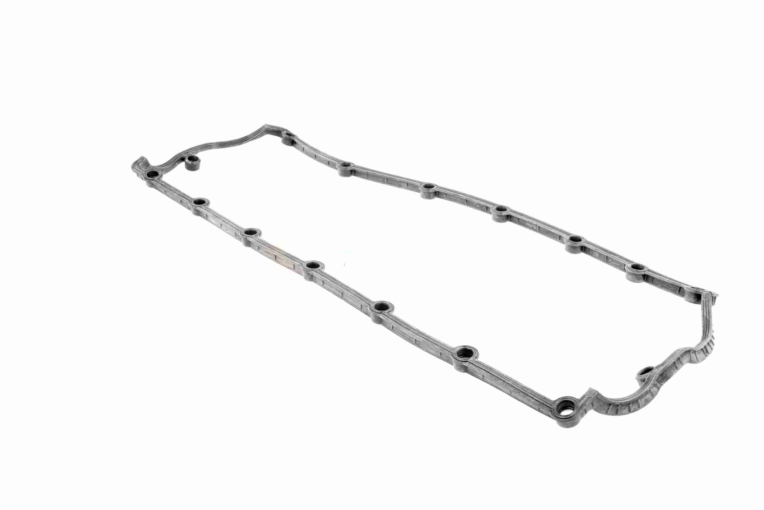 Vaico Kleppendekselpakking V10-4067