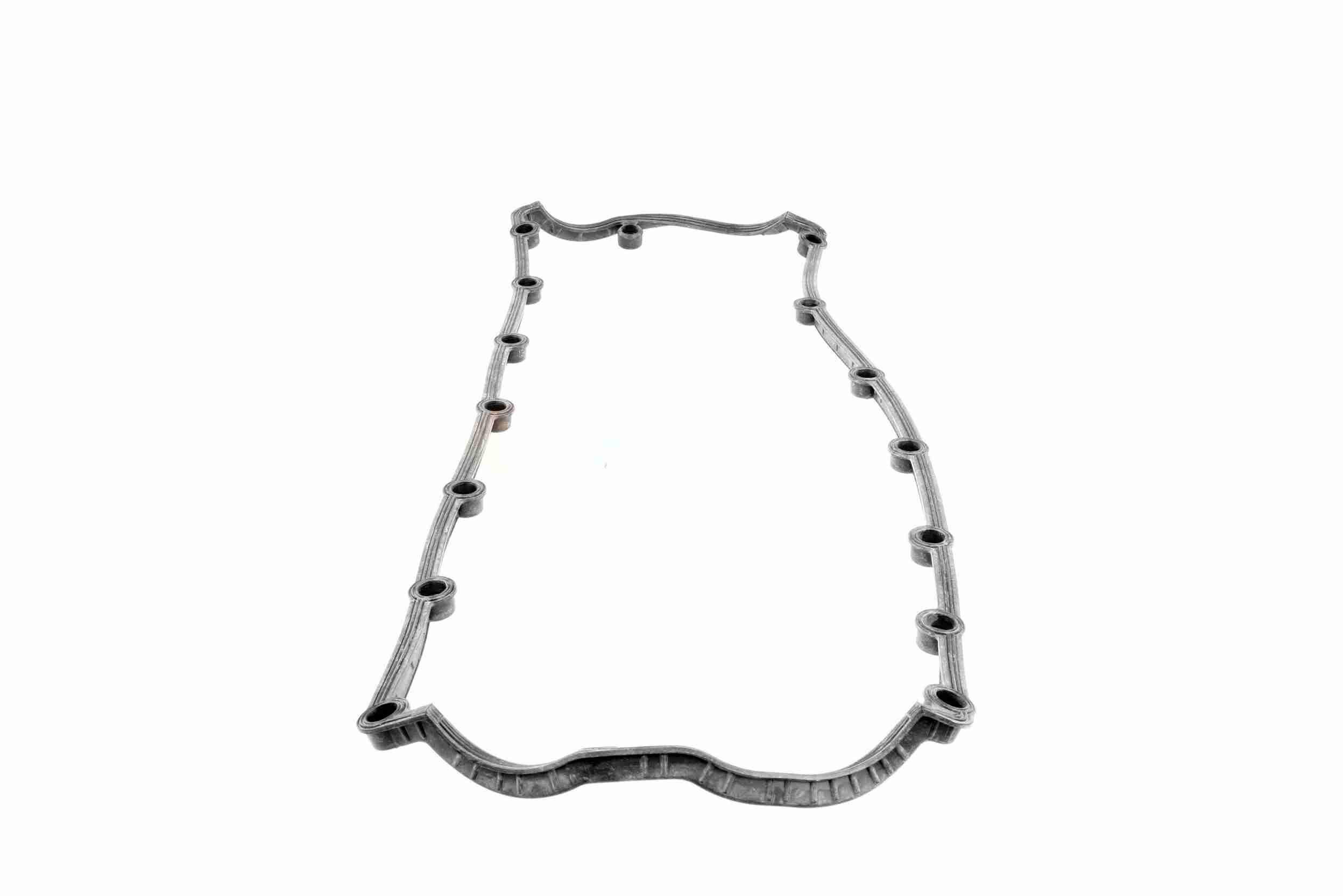 Vaico Kleppendekselpakking V10-4067